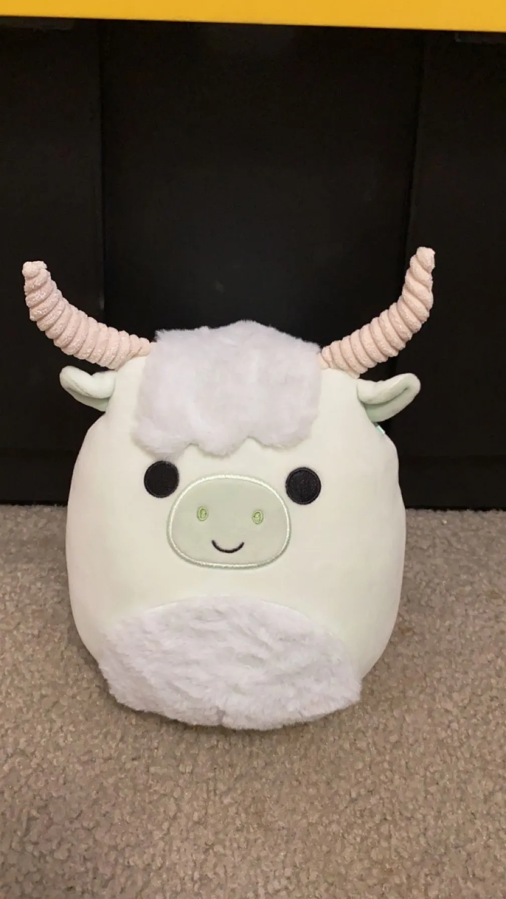 Product image for Capsule egg iver 8’