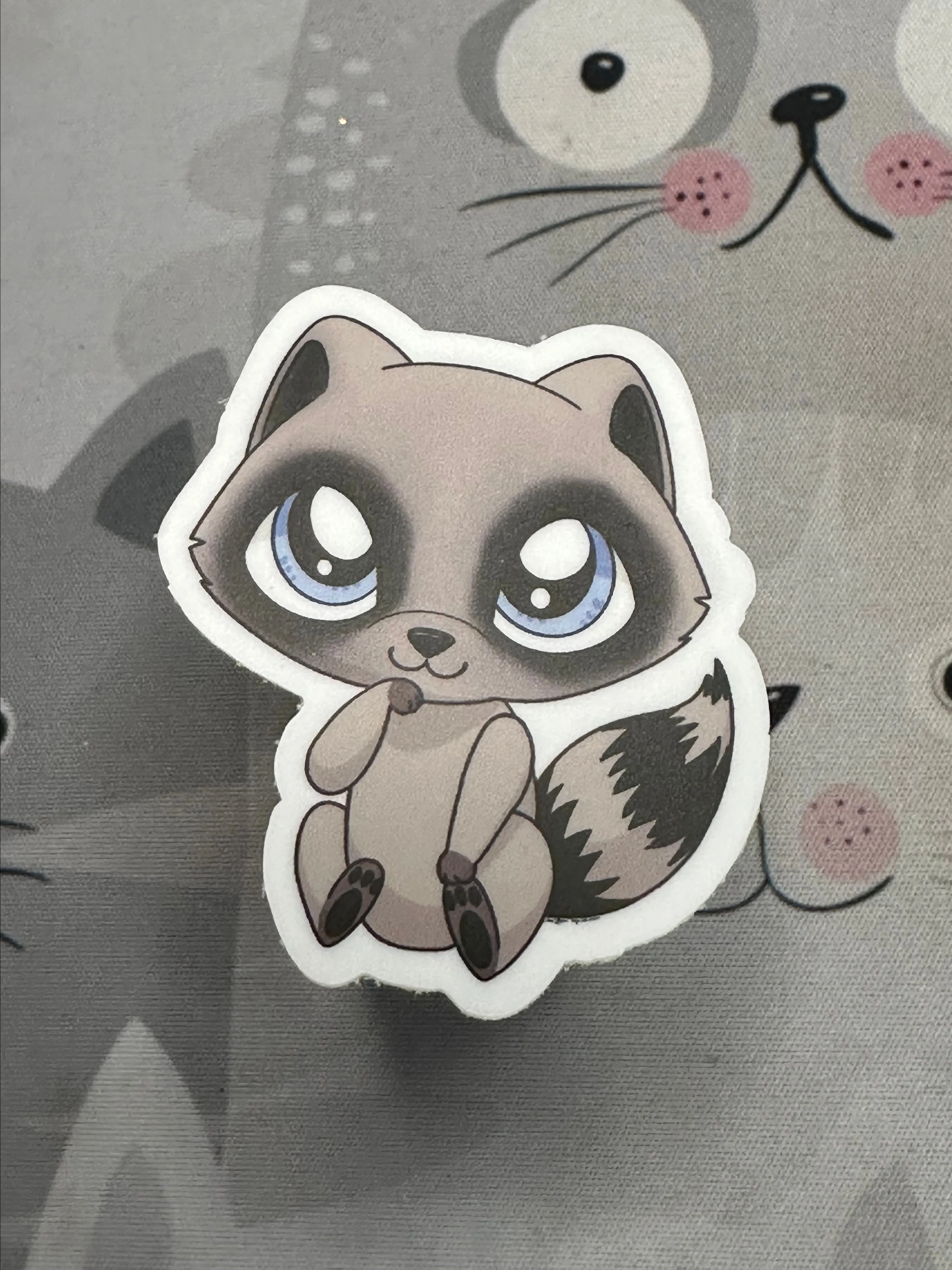 Product image for Raccoon sticker