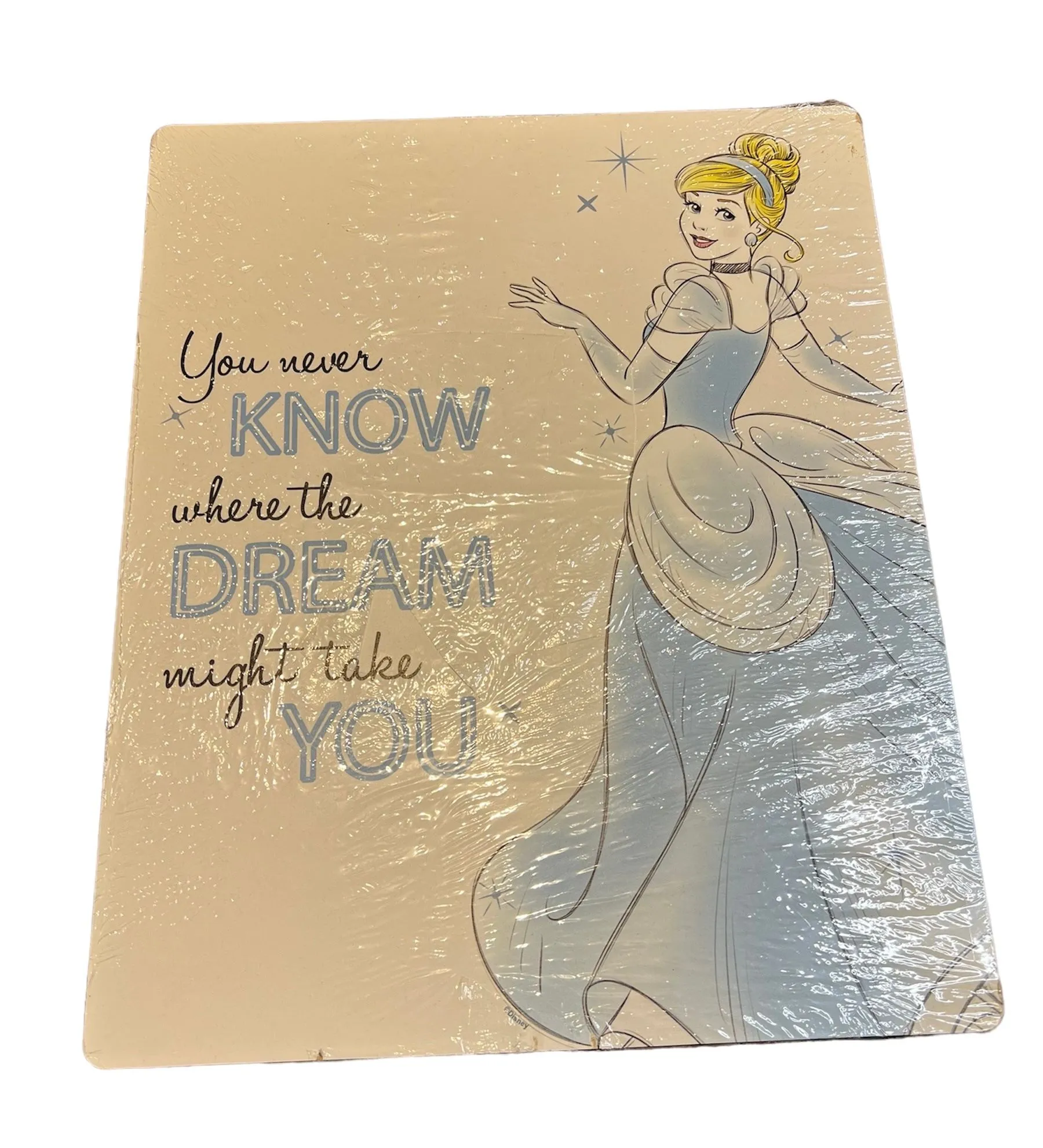 Product image for Disney Princess Cinderella Wall Decor (16L x 13W)