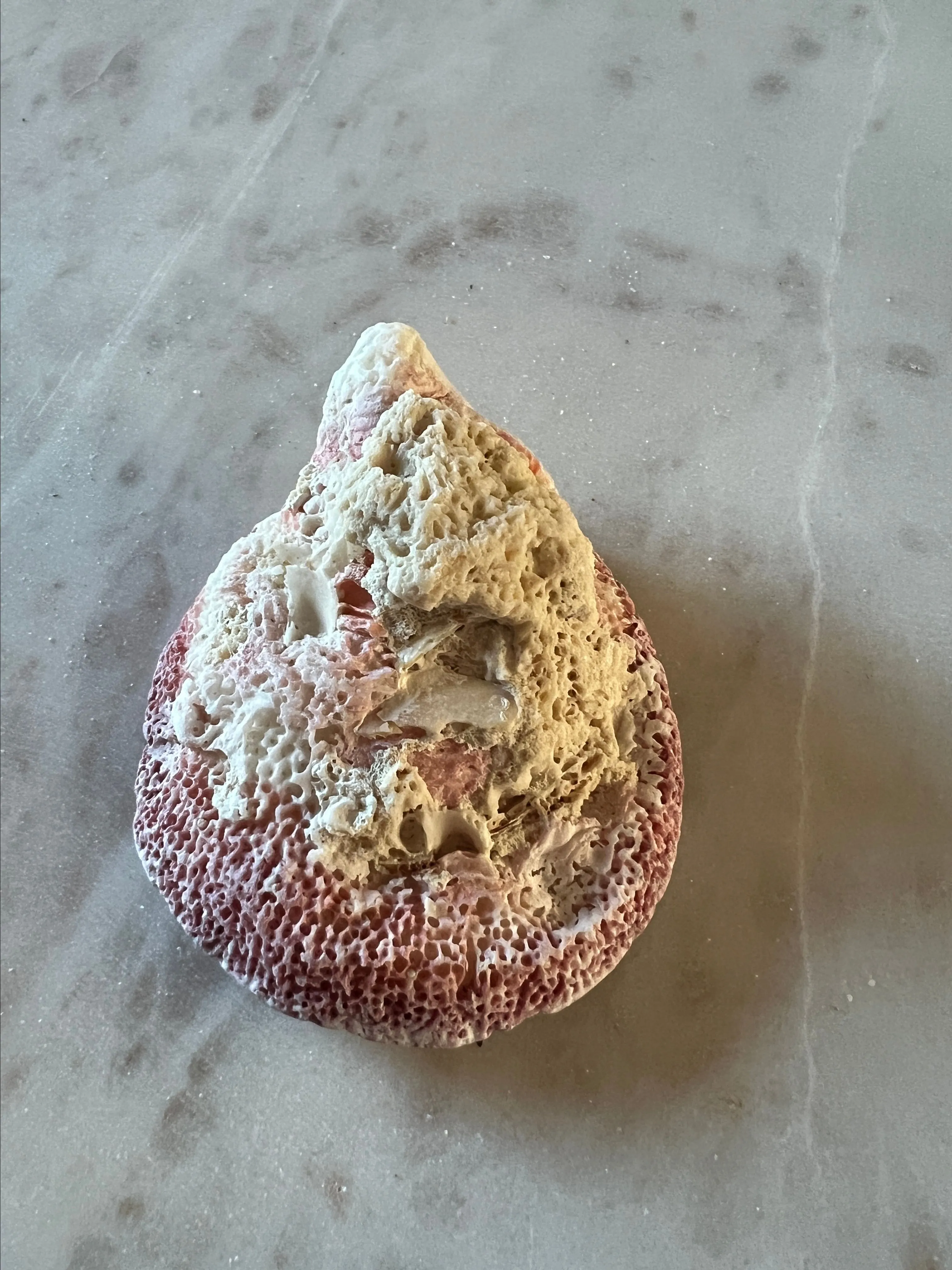 Product image for Shell from Dubai