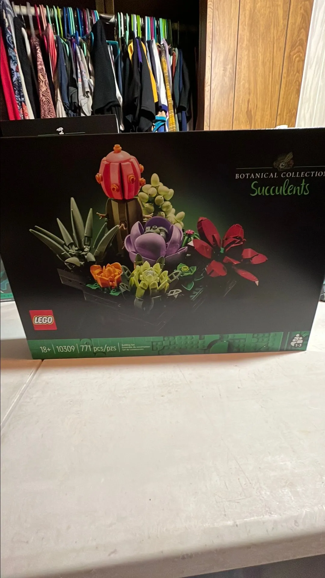 Product image for Succulents