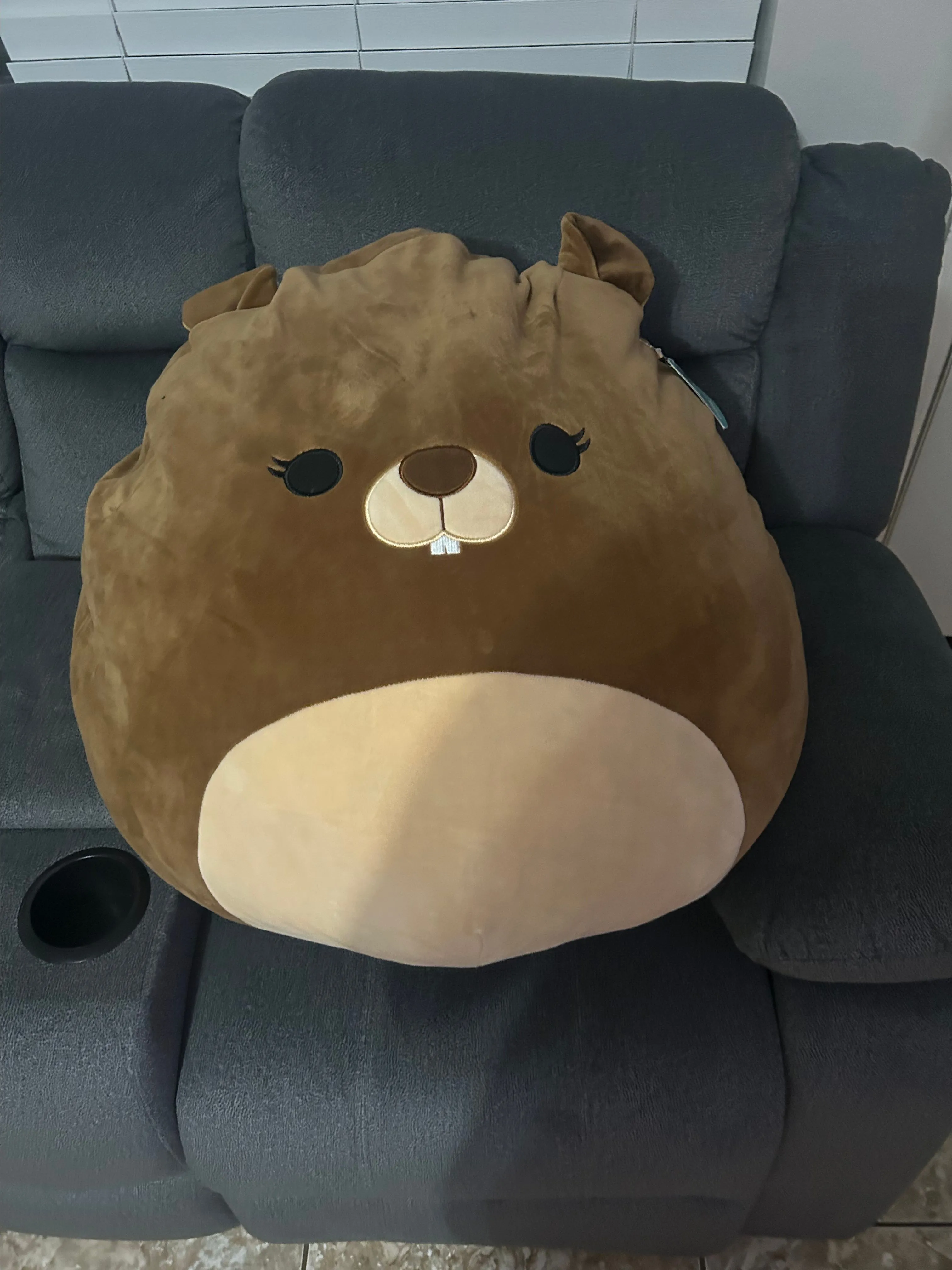 Product image for Squishmallow, Gardenia The Beaver, groundhog, New With Tags, *RARE* 24” new