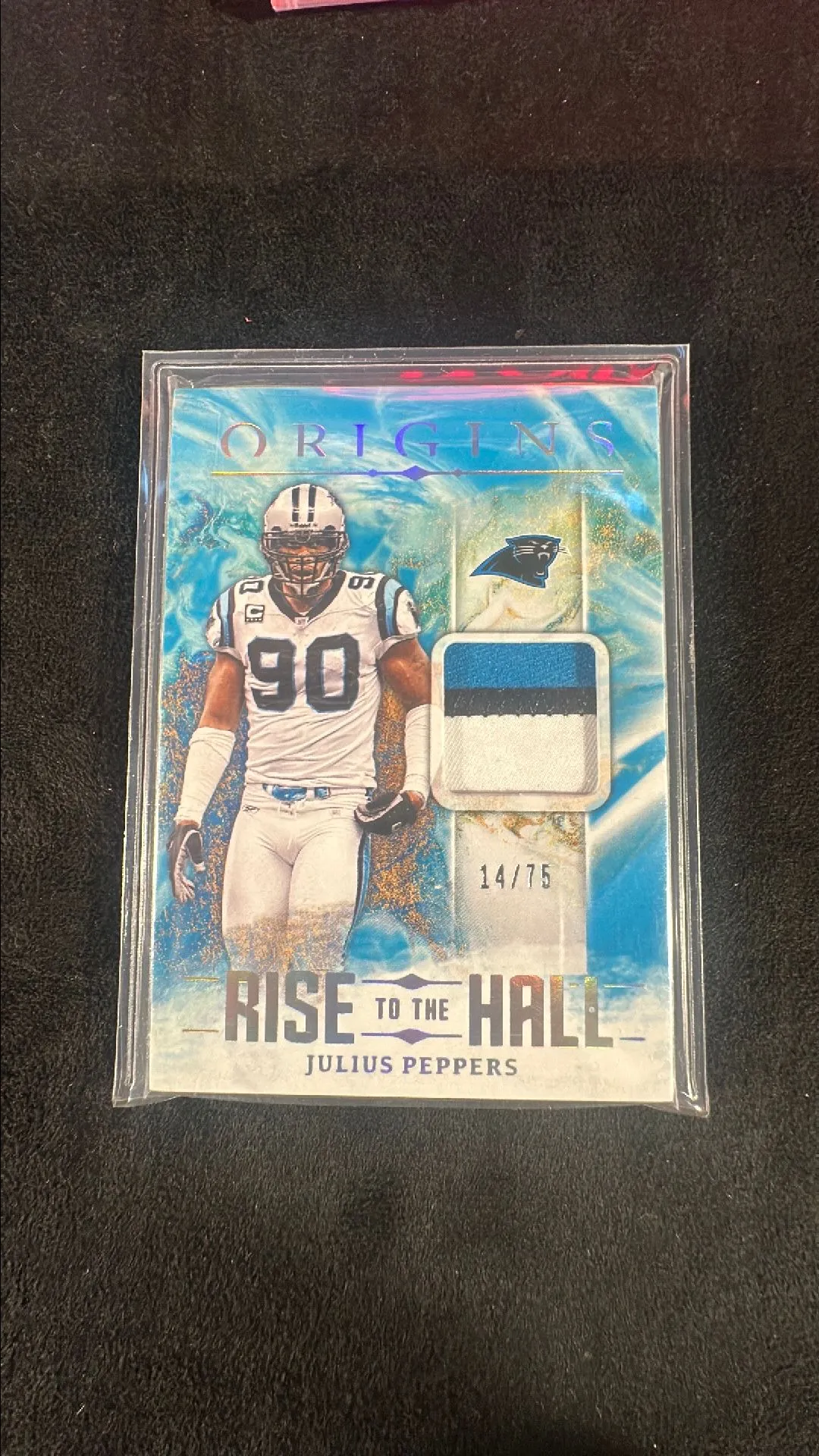 Product image for Julius peppers rise to the hall patch /75
