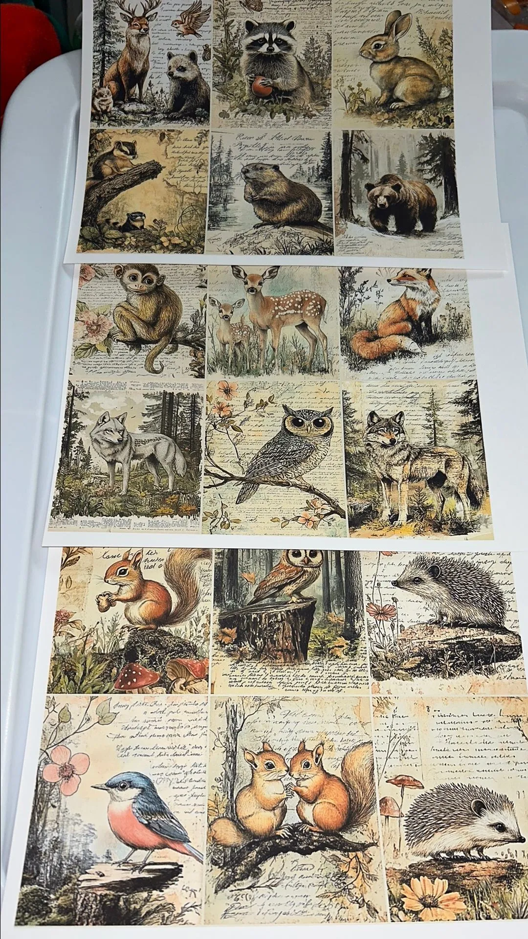 Product image for Forest Animal Pet Printable #1