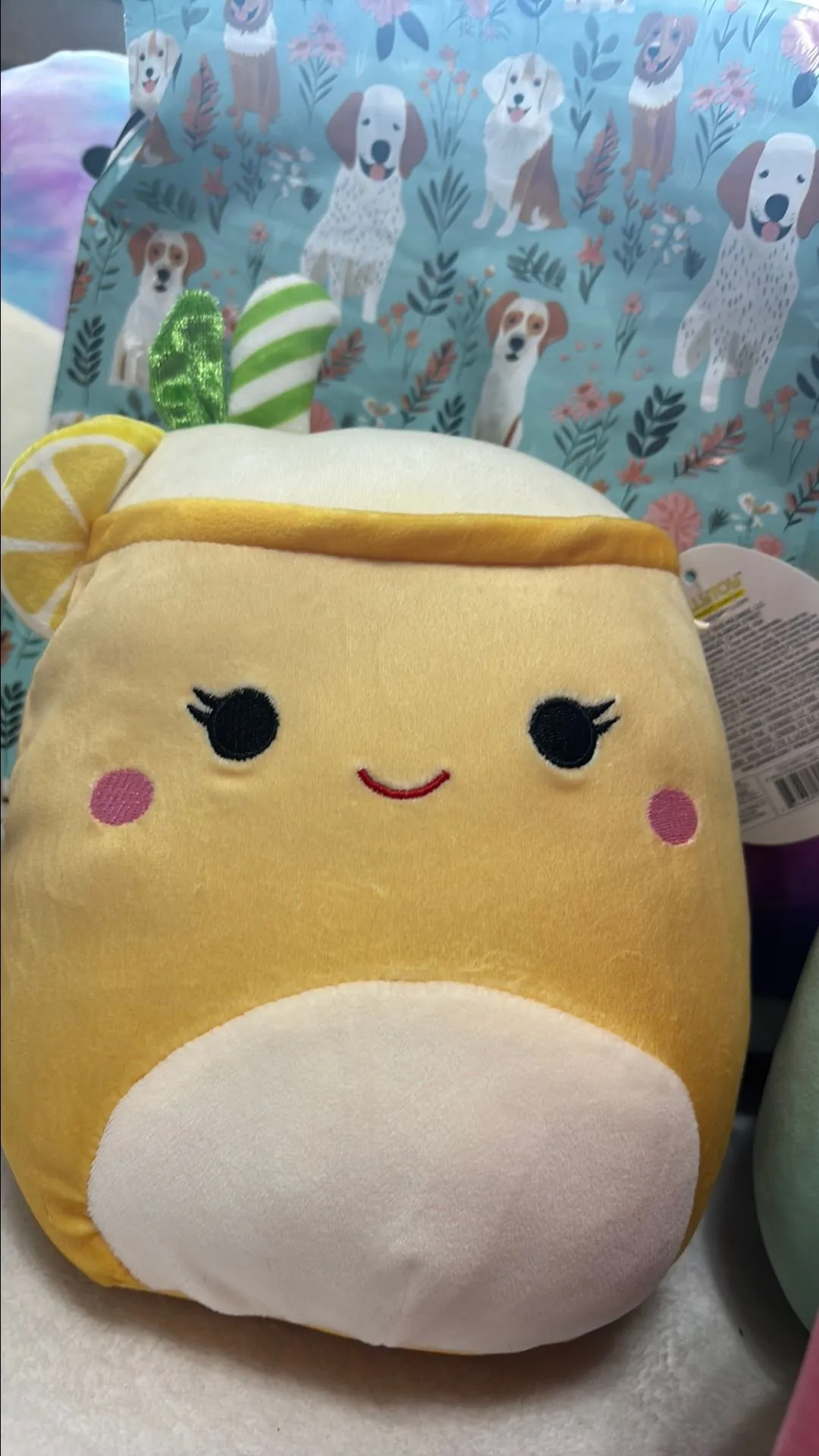 Product image for Lemonade squish