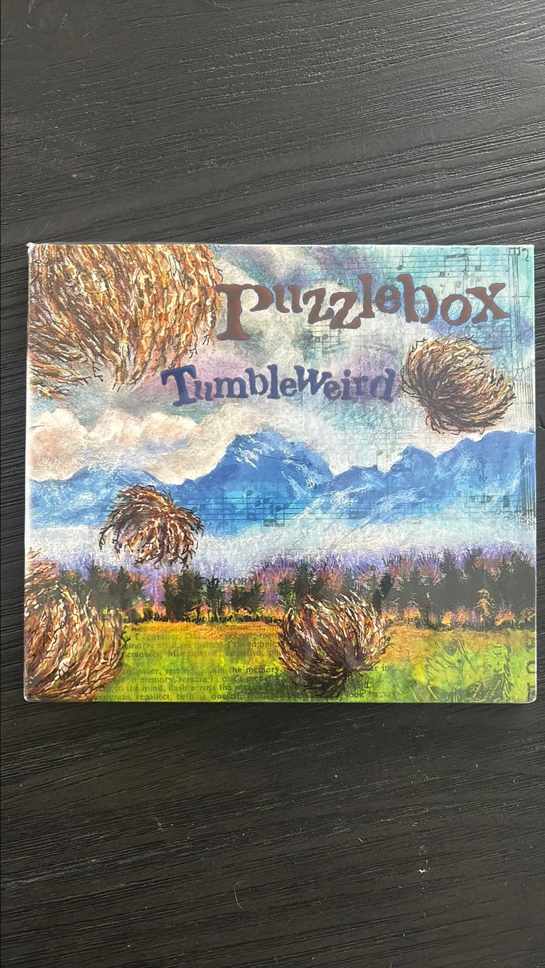 Product image for Puzzlebox: Tumbleweird CD Signed by @comic_Pops