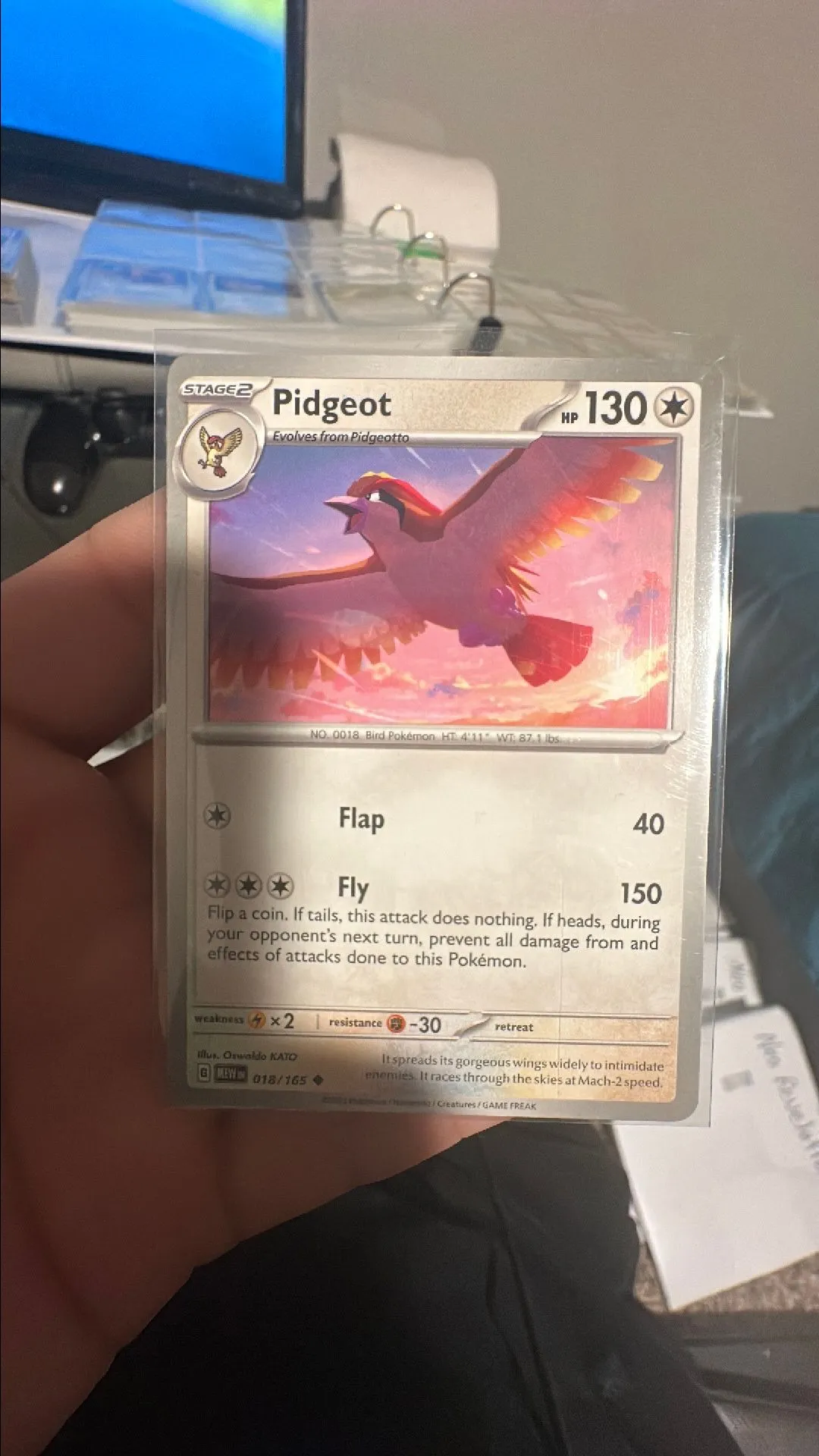 Product image for Pidgeot (Scarlet and Violet 151)