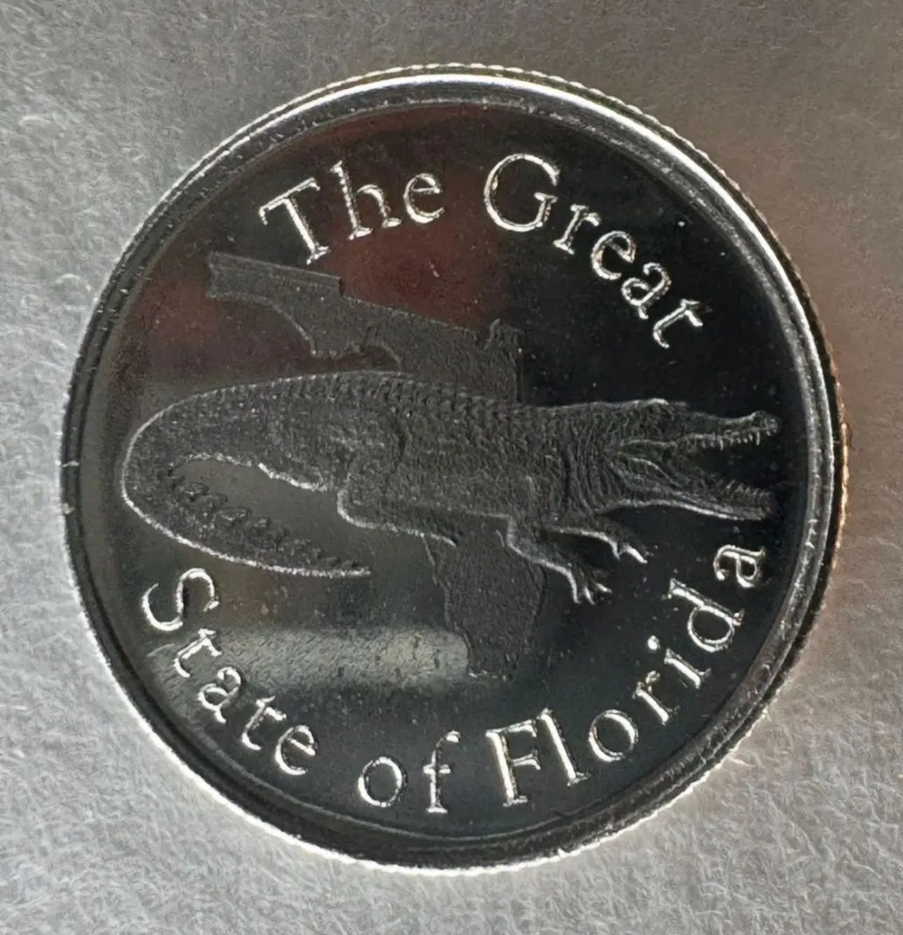 Product image for Silver Florida Gator