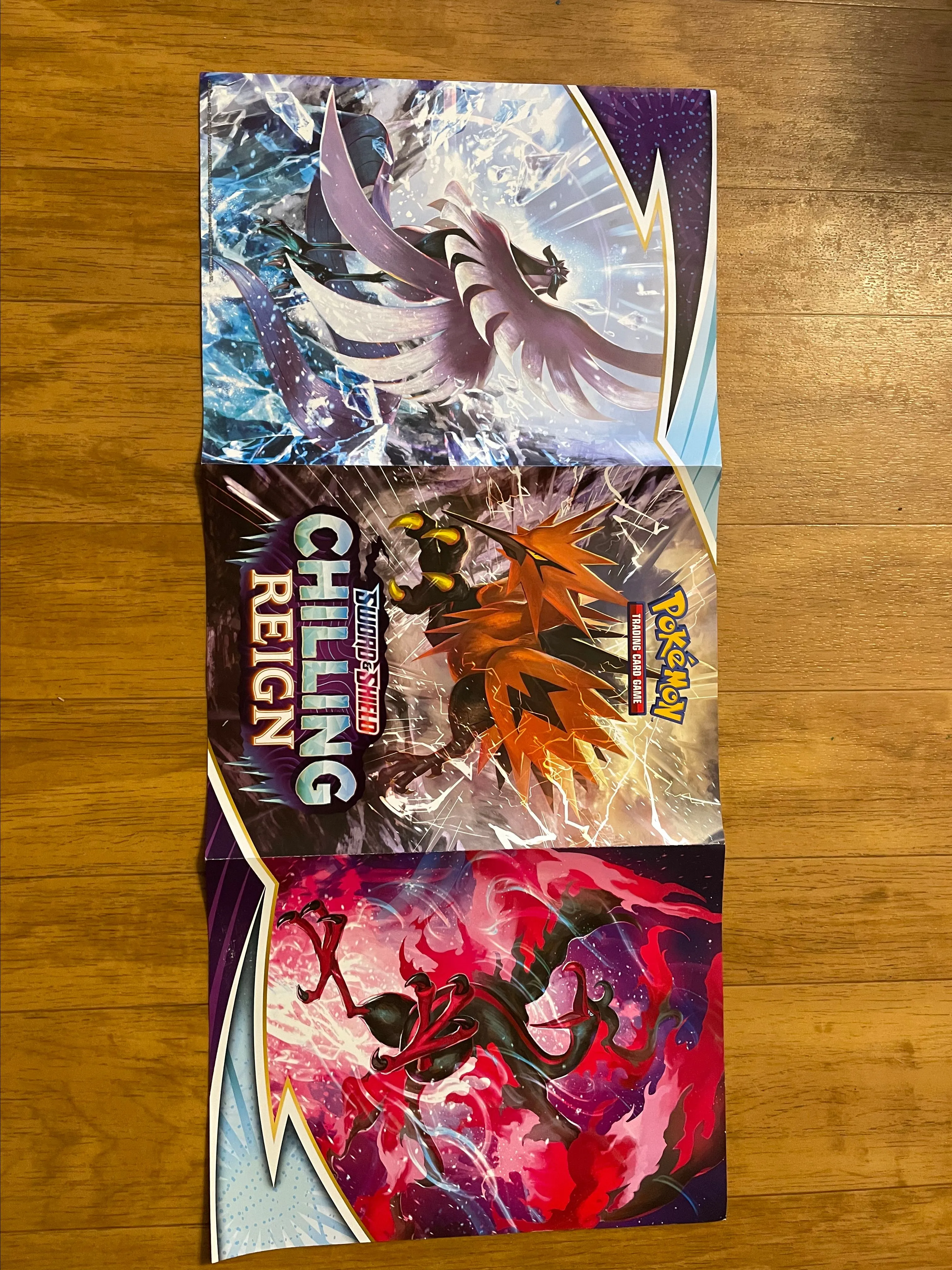 Product image for Pokémon Chilling Reign Legendary Birds Tri-fold Poster