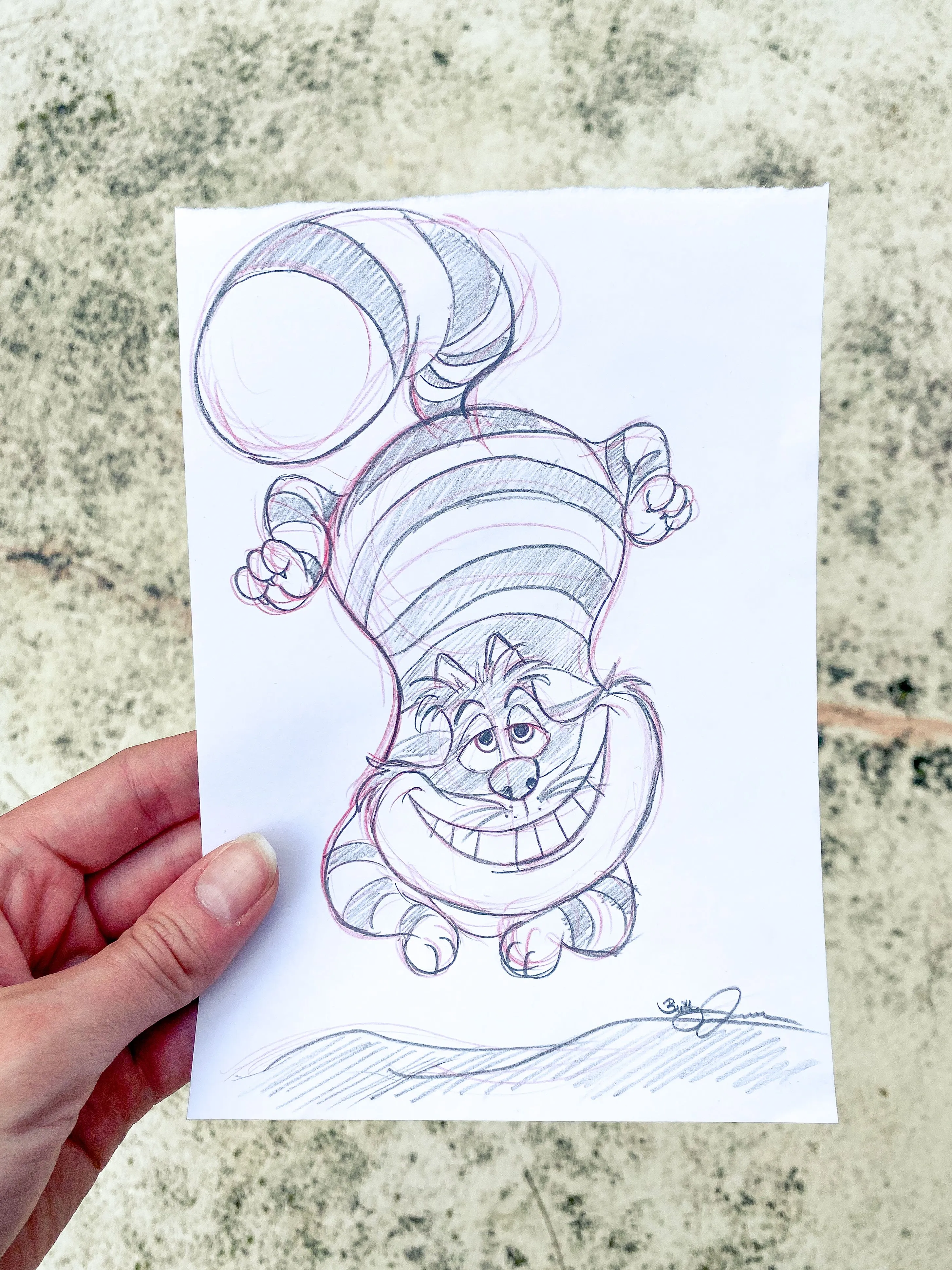 Product image for Cheshire Cat Sketch