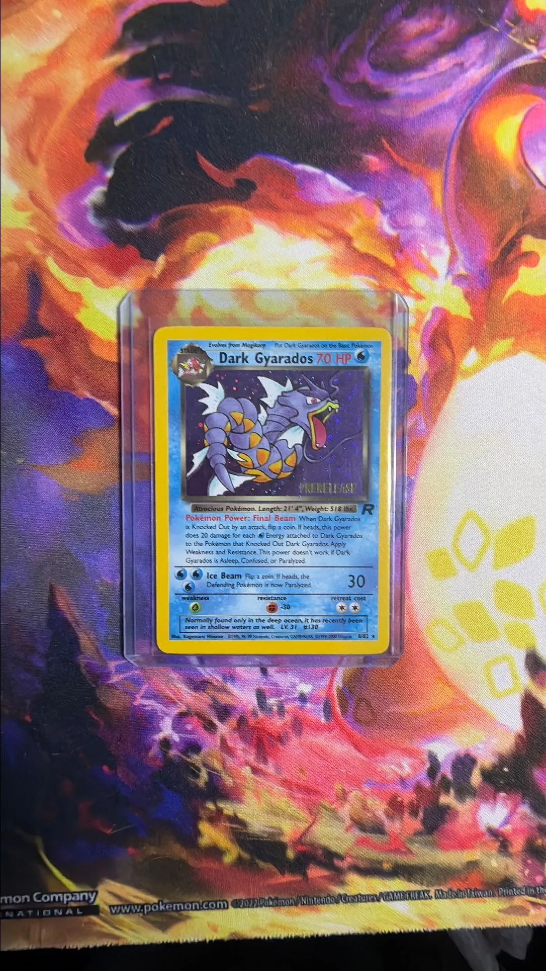 Product image for Dark gyarados