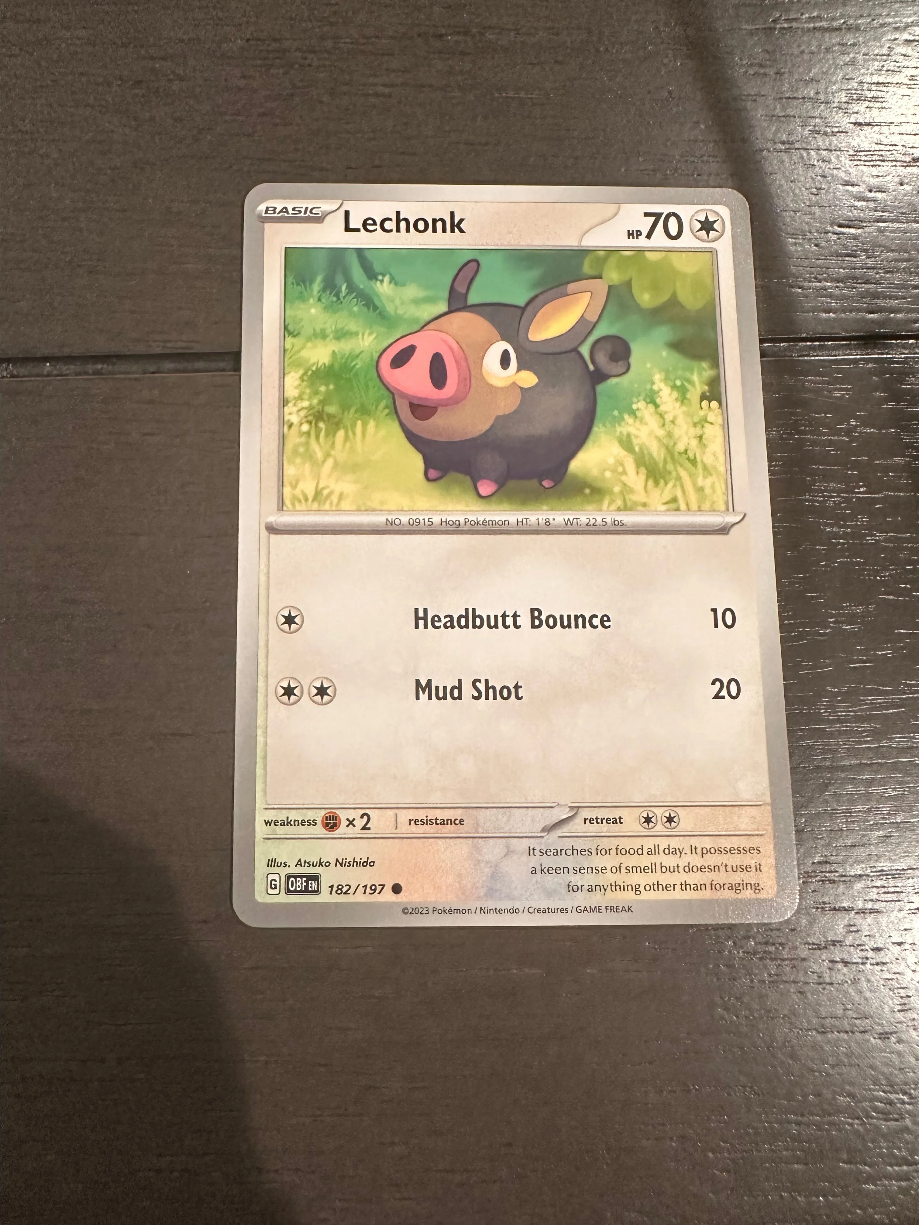 Product image for Lechonk