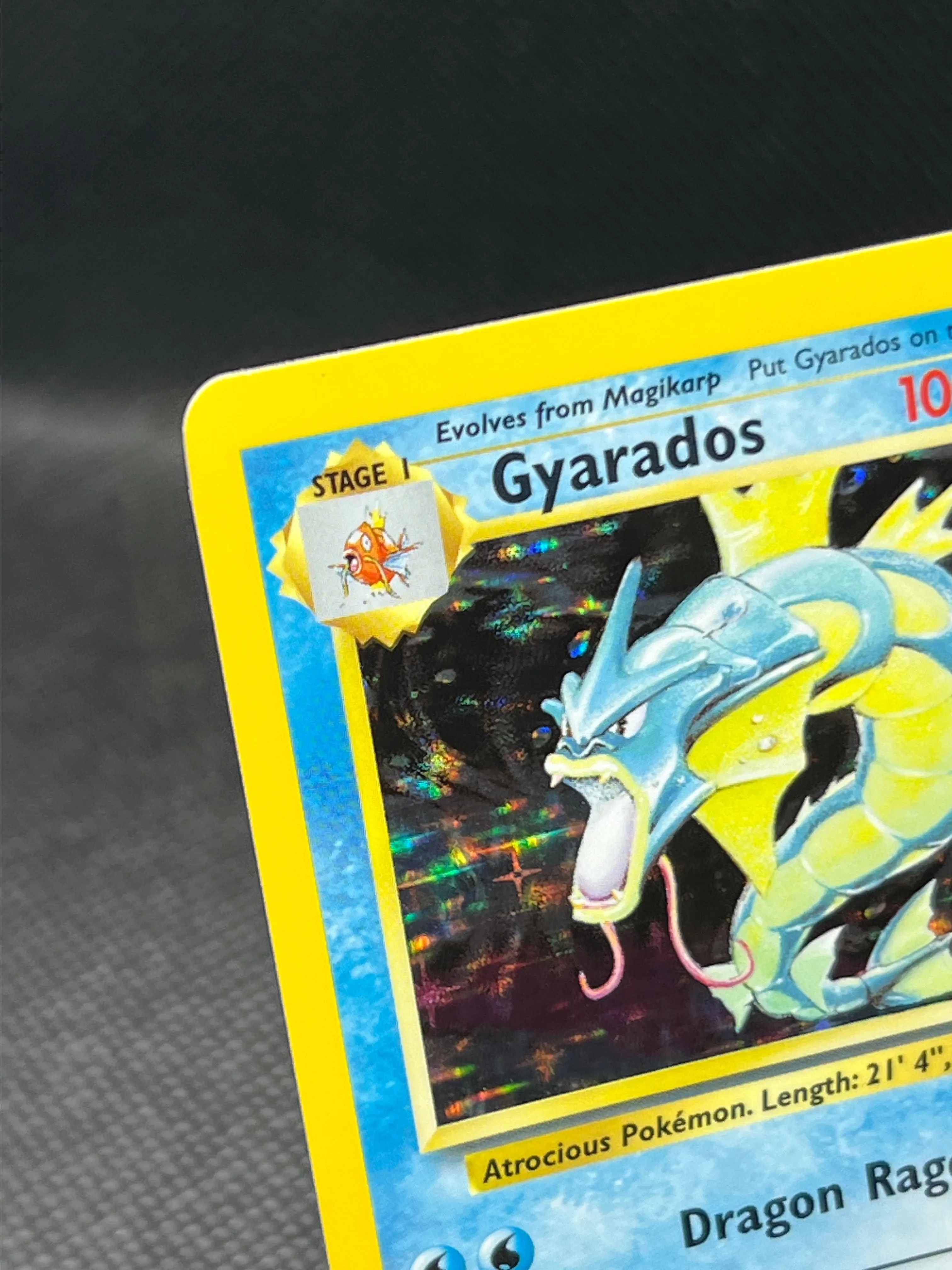 gyarados rare card Amazon.com: Ravensburger Disney Lorcana TCG: Into The Inklands Assorted  Single Booster Pack (12 Cards) | Collectible Cards | Ideal Gift for Disney  Fans main image 0