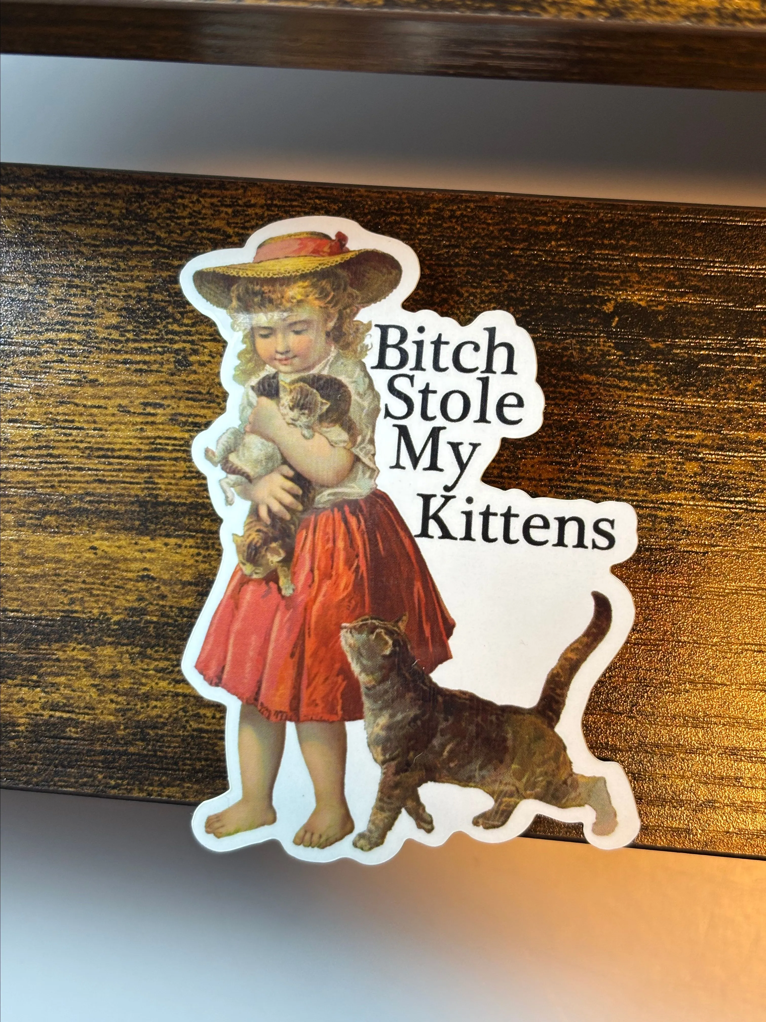Product image for F55 - Funny Vintage Cat Stickers, B!tch Stole My Kittens, Snarky Cat Stickers, Cute Cat Sticker