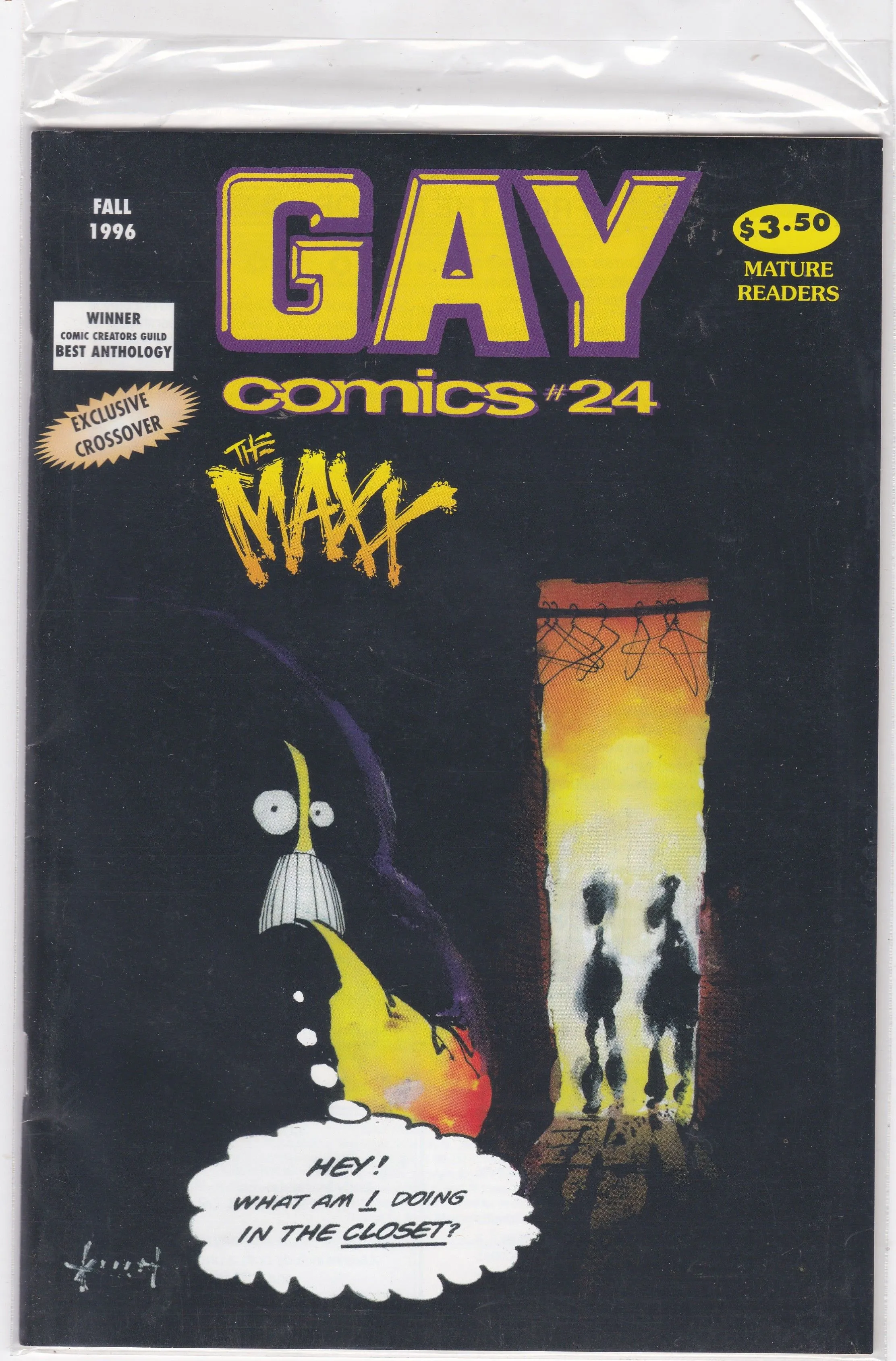 Product image for Gay Comics #24 The Maxx Appearance - Limited Print Run
