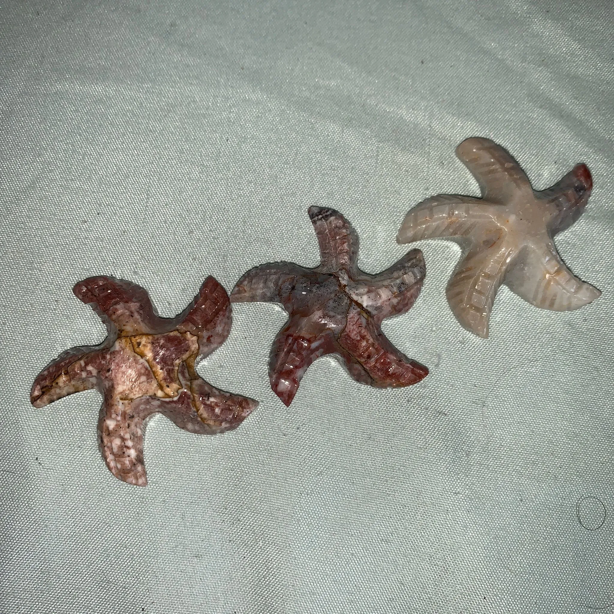 Product image for Starfish carving. (Buyer’s choice of 1)