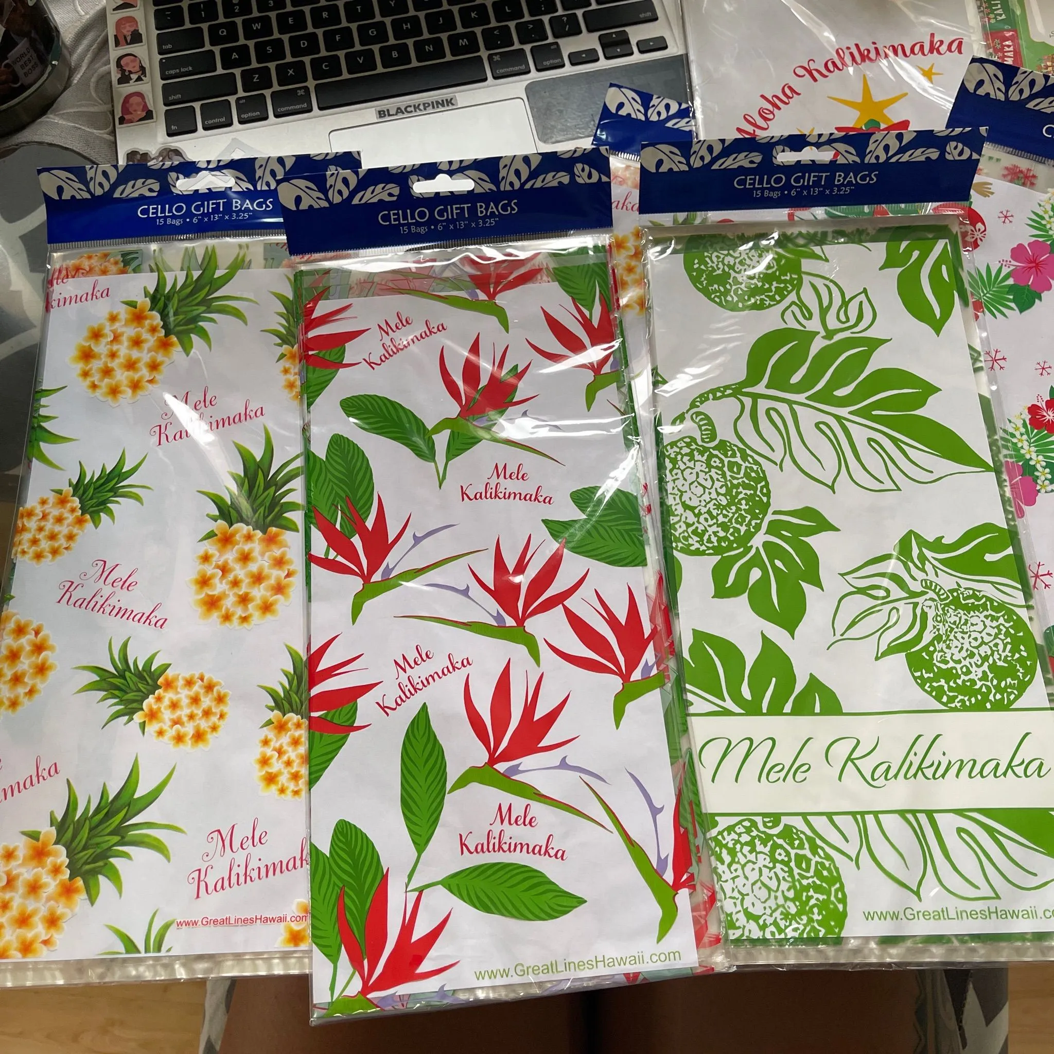Product image for HAWAIIAN GIFT GOODIE BAGS 🌺🤙🏽