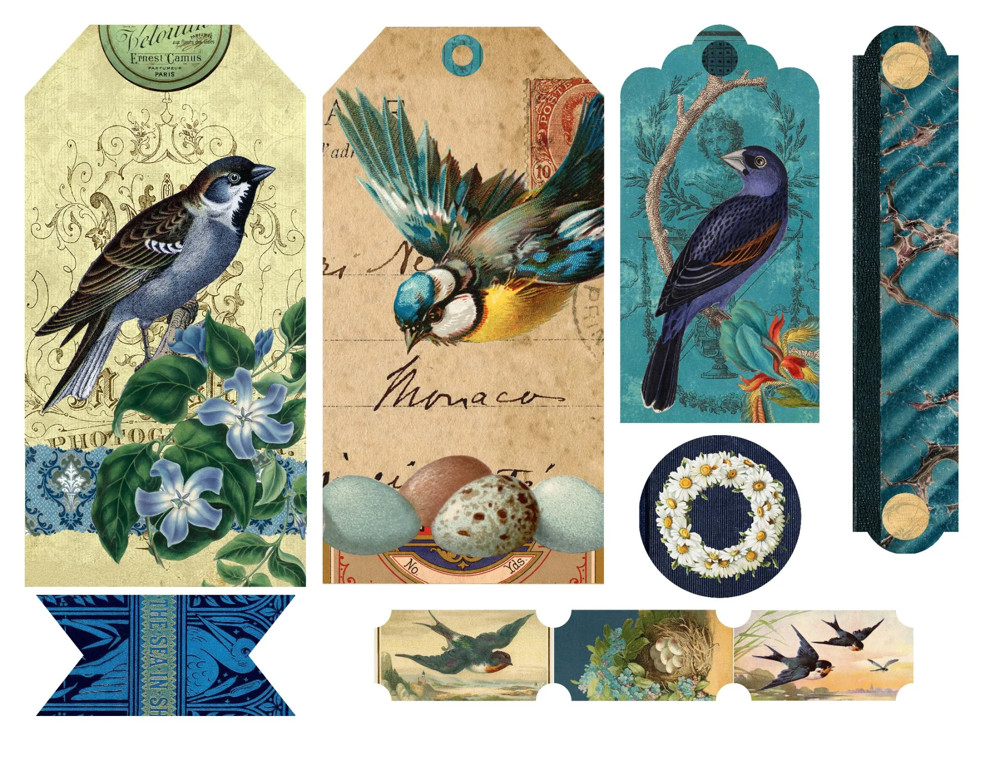 Product image for A211. Beautiful Blue Birds