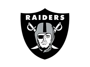 Product image for Raiders