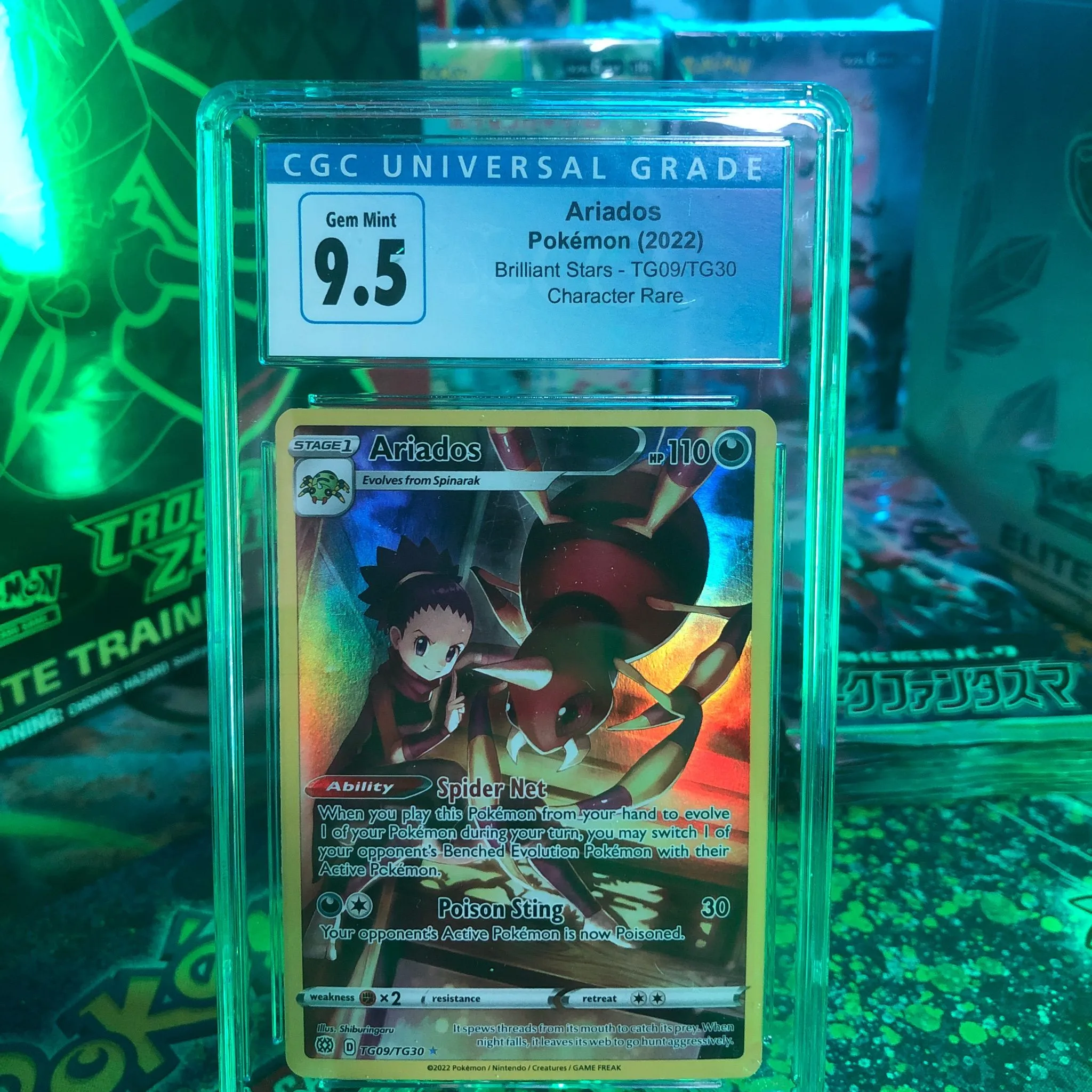 Product image for CGC 9.5 Ariados (TrainerGallery)
