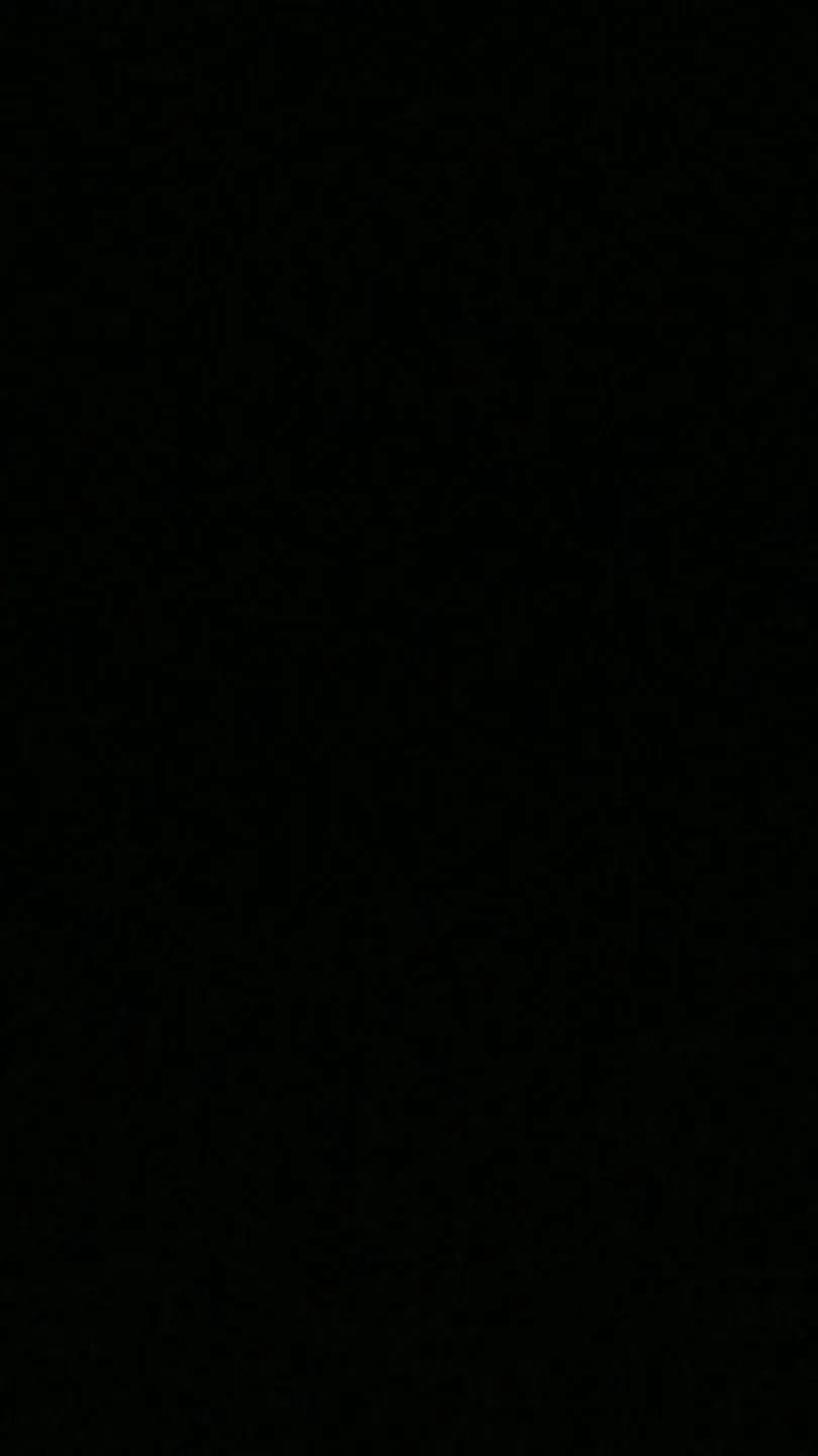 a03b9599-068e-4169-bbac-76b3d3d7a6b2