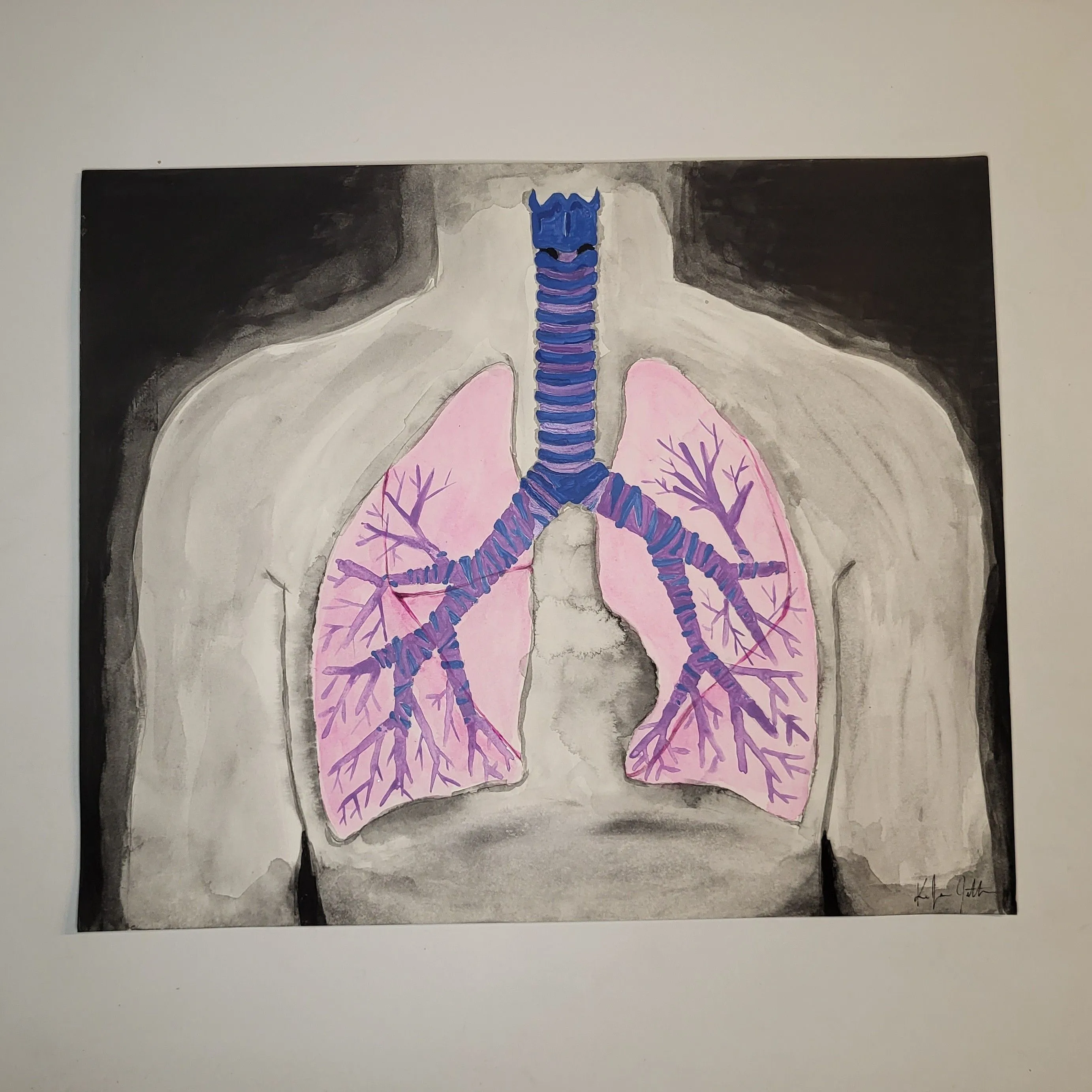 Product image for Textbook -Poster