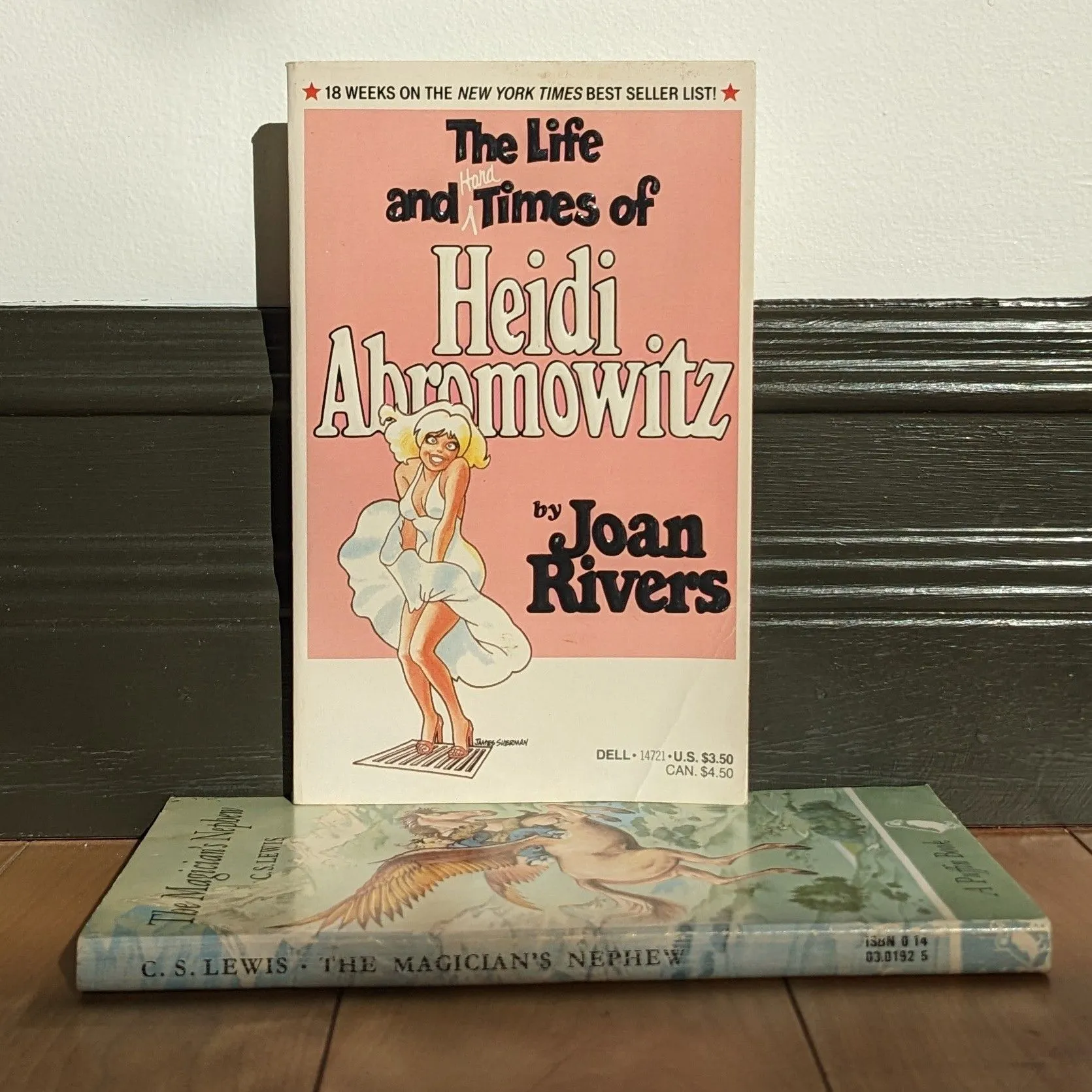 Product image for The Life and Times of Heidi Abromowitz - Joan Rivers