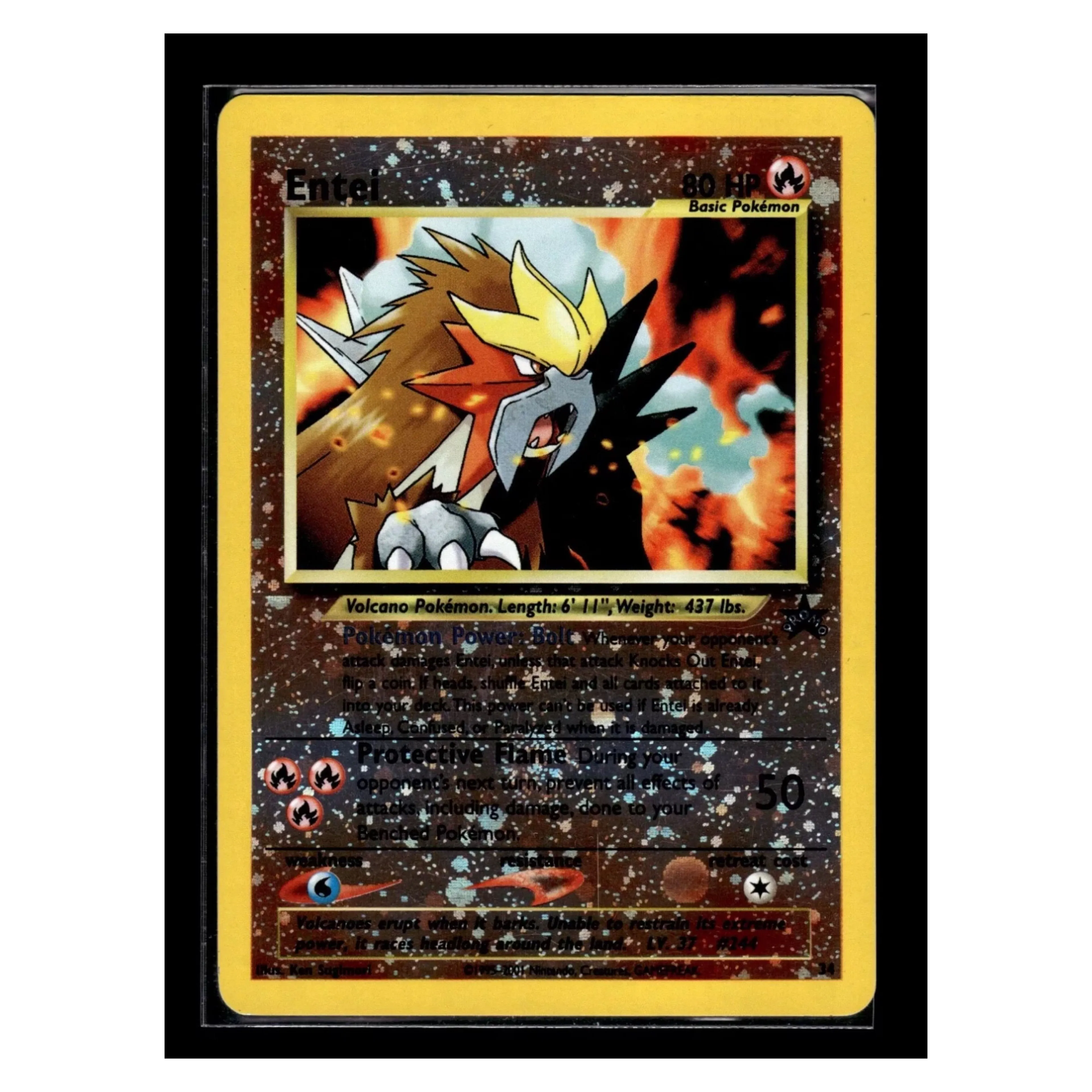 ENTEI # 34 Black Star Neo Promo Holo SEALED Pokemon Card  Whatnot: Shop,  Sell, Connect