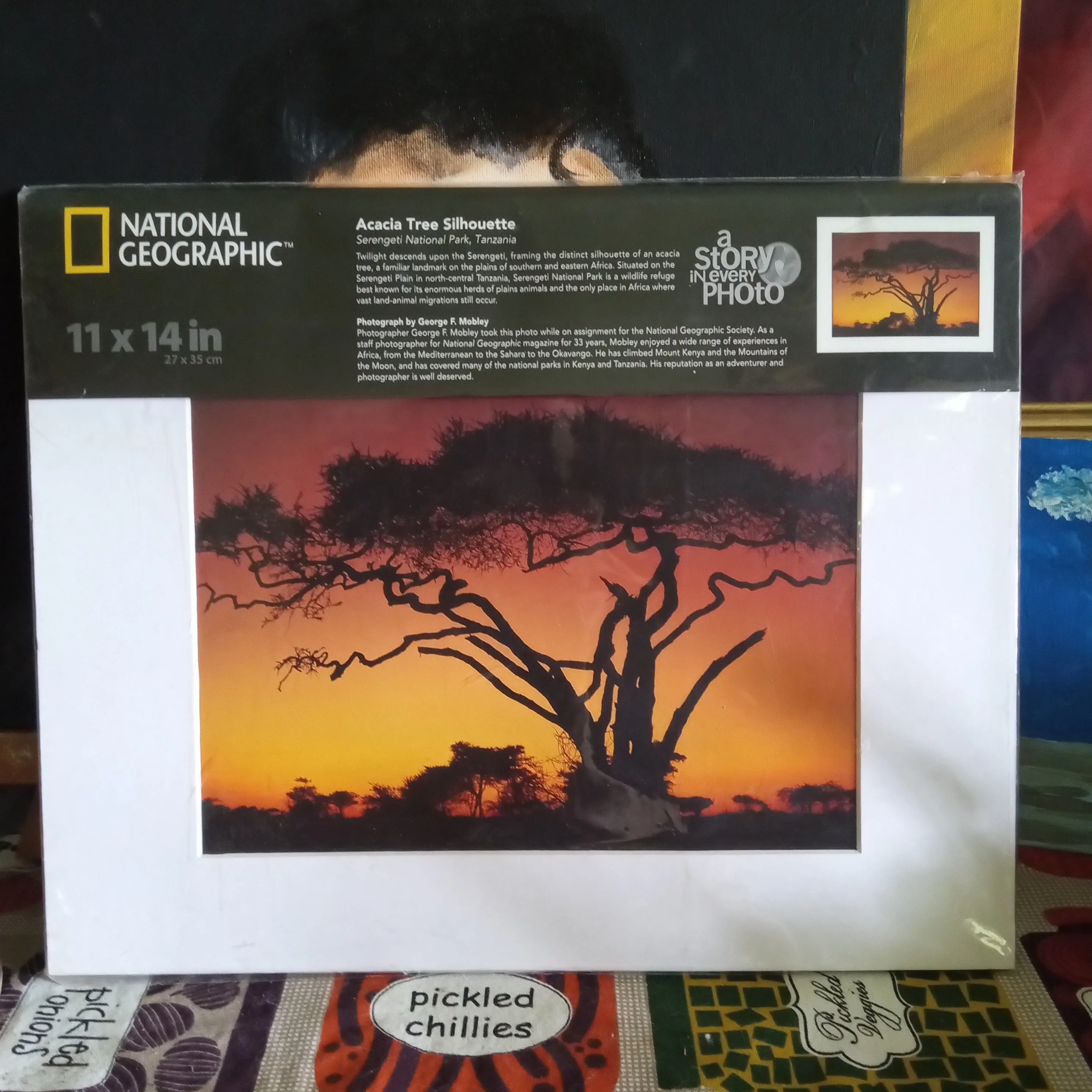 Product image for national geographic print