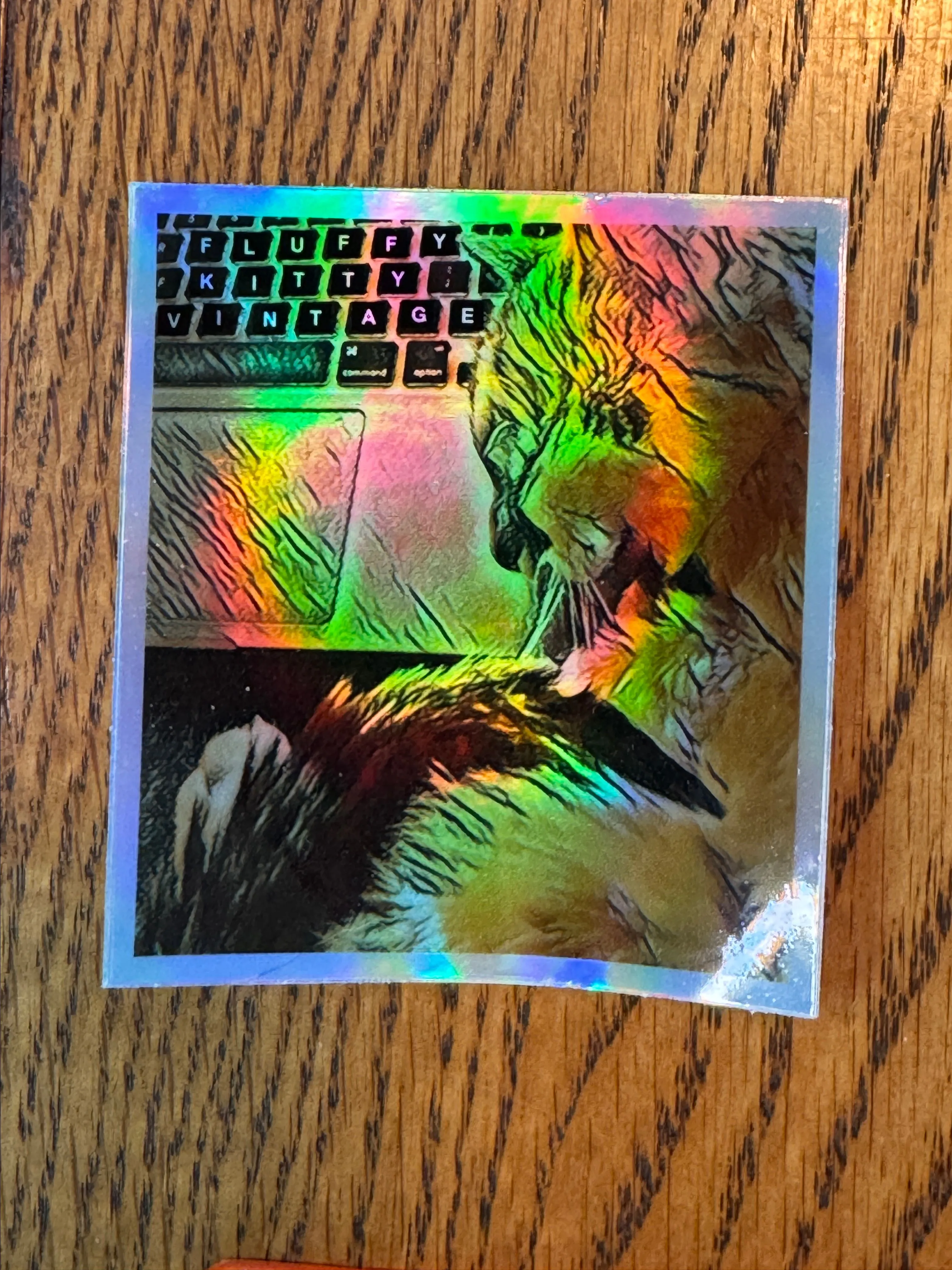 Product image for FKV Holographic Vinyl Sticker