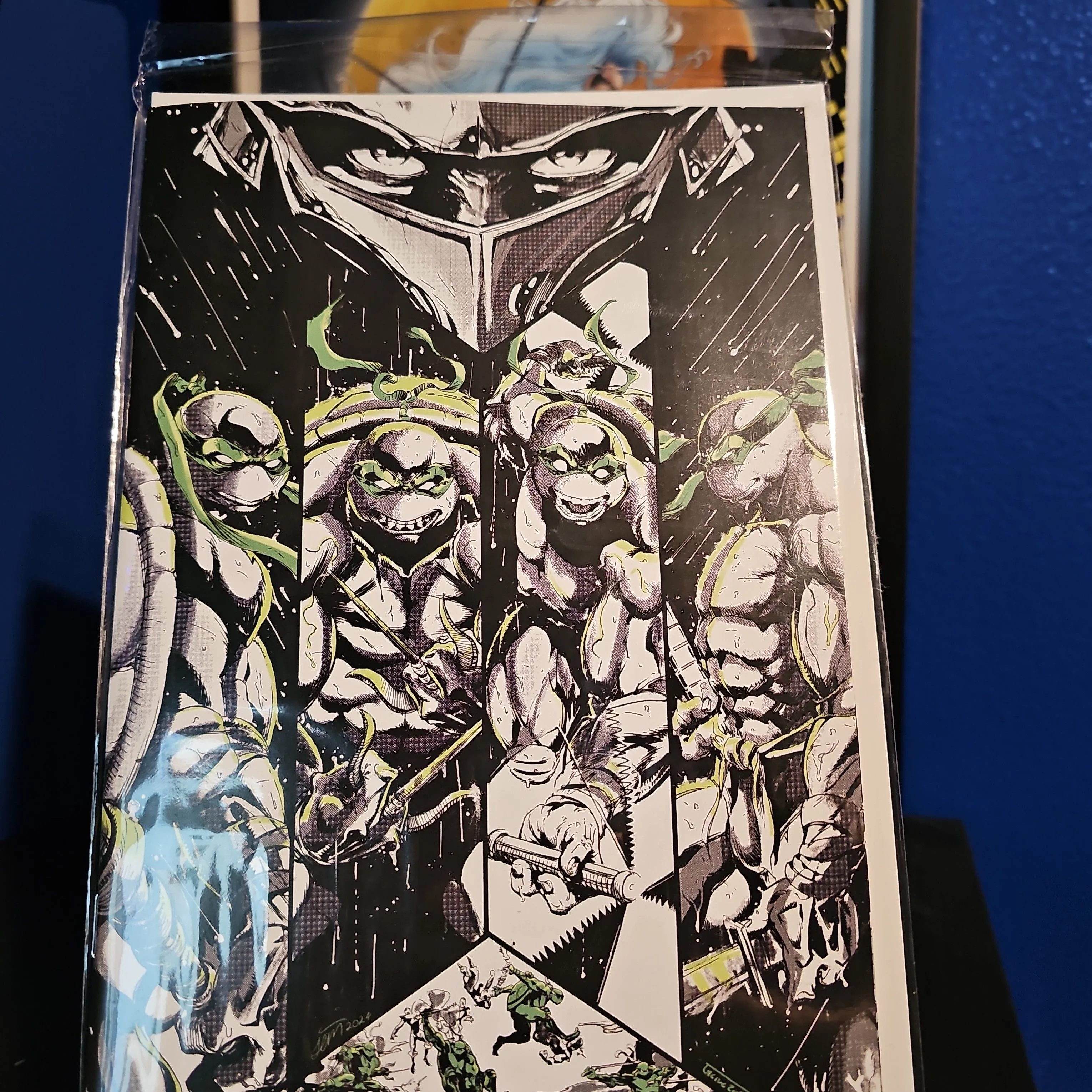 Product image for TMNT: Black, White, and Green Virgin