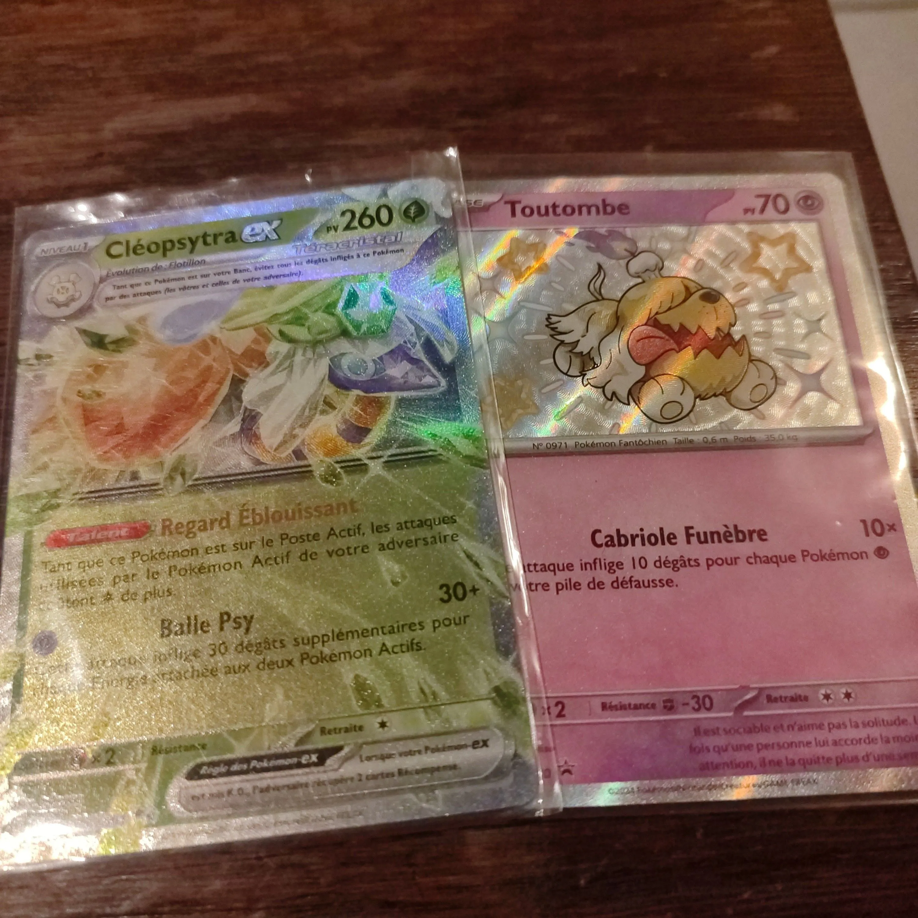 Product image for duo de carte 4.5 clepsytra ex terra et toutombe promos shyni