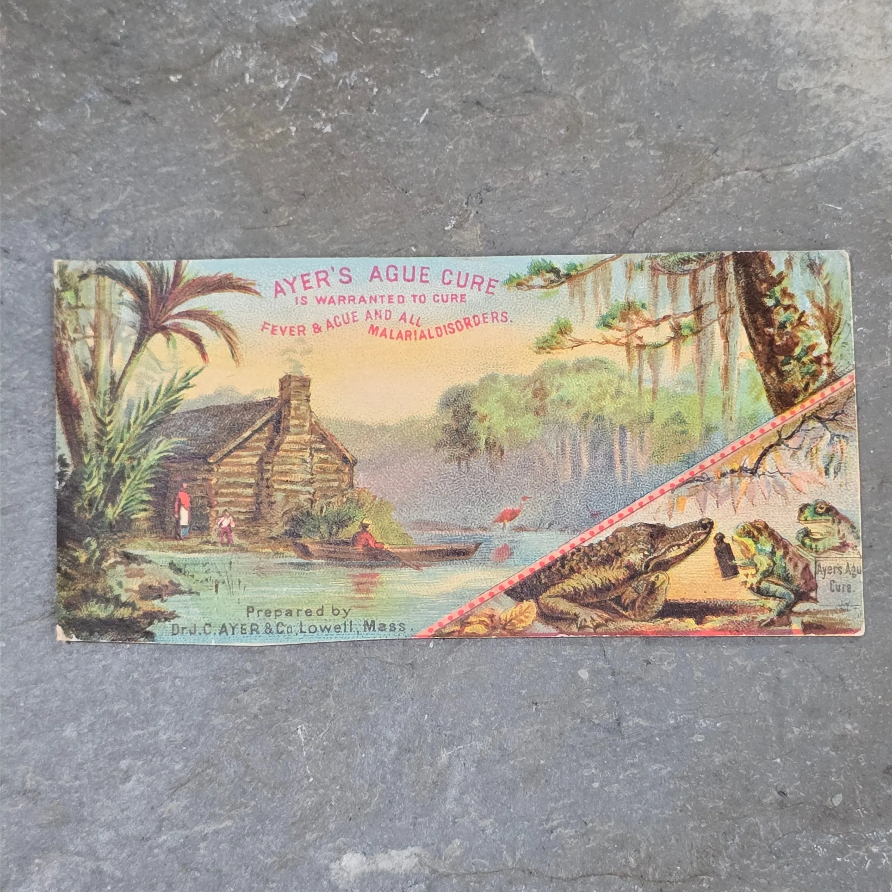 Product image for Ayer's Ague Cure Antique Victorian Trade Card Swamp Animals Quack Medicine Cure Remedy Advertising (WNB1-77)