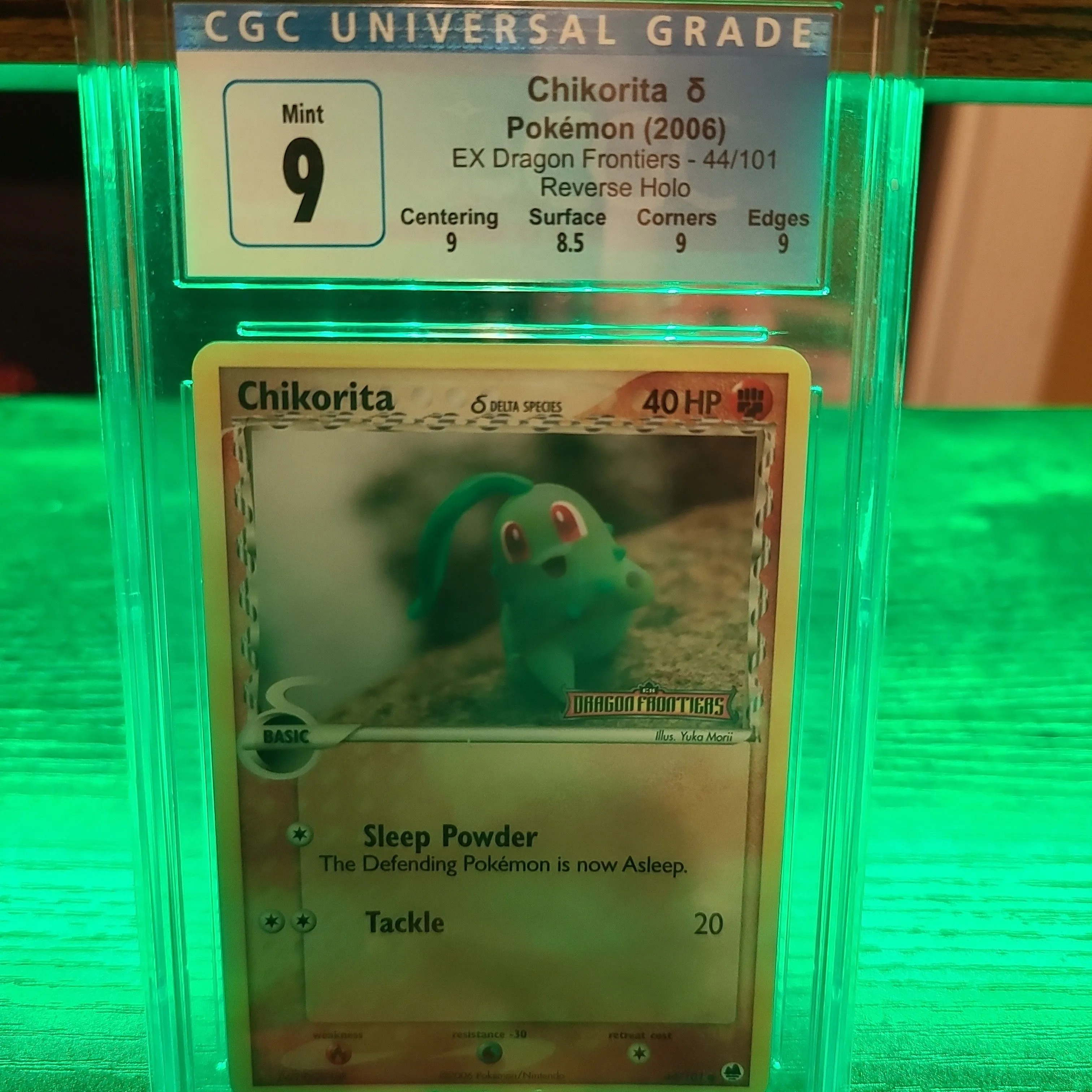 Product image for 🐛2006🐛 CHIKORITA Delta Species