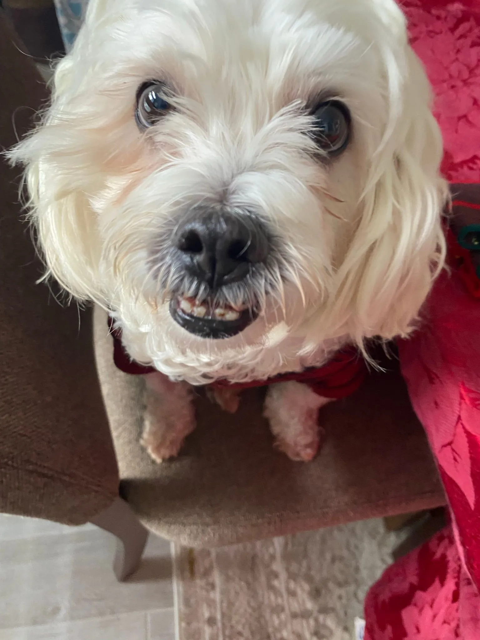 a45d88c0-47ea-43ed-ade2-4778975b67af