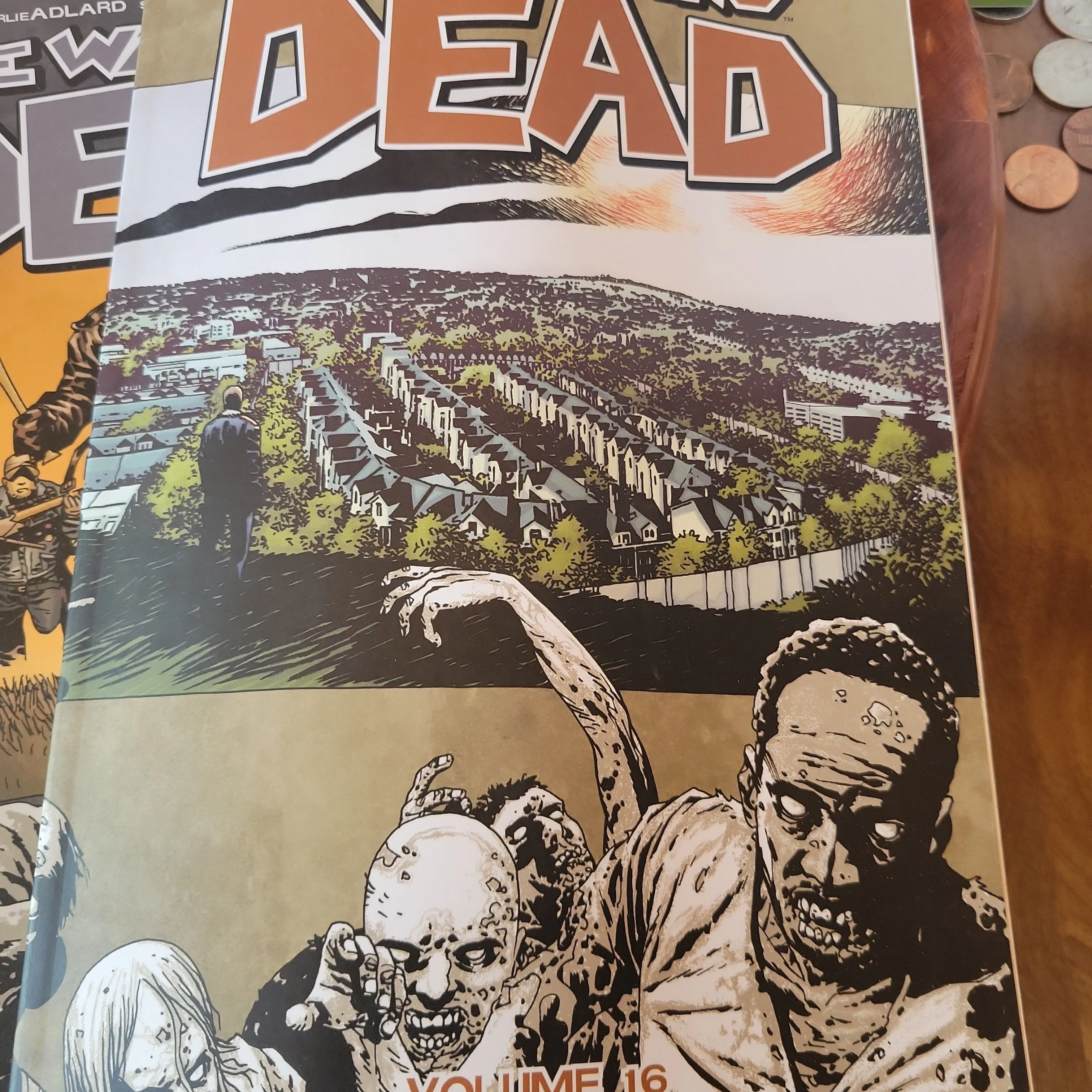 Product image for the walking dead vol 16