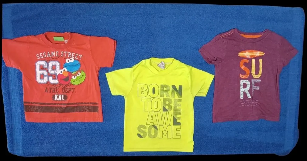 Product image for Bundle of 3 Toddler Boys Size 2T 24 Months T-Shirts CAT & JACK, Swiggles and SESAME STREET Bert Ernie Green Purple