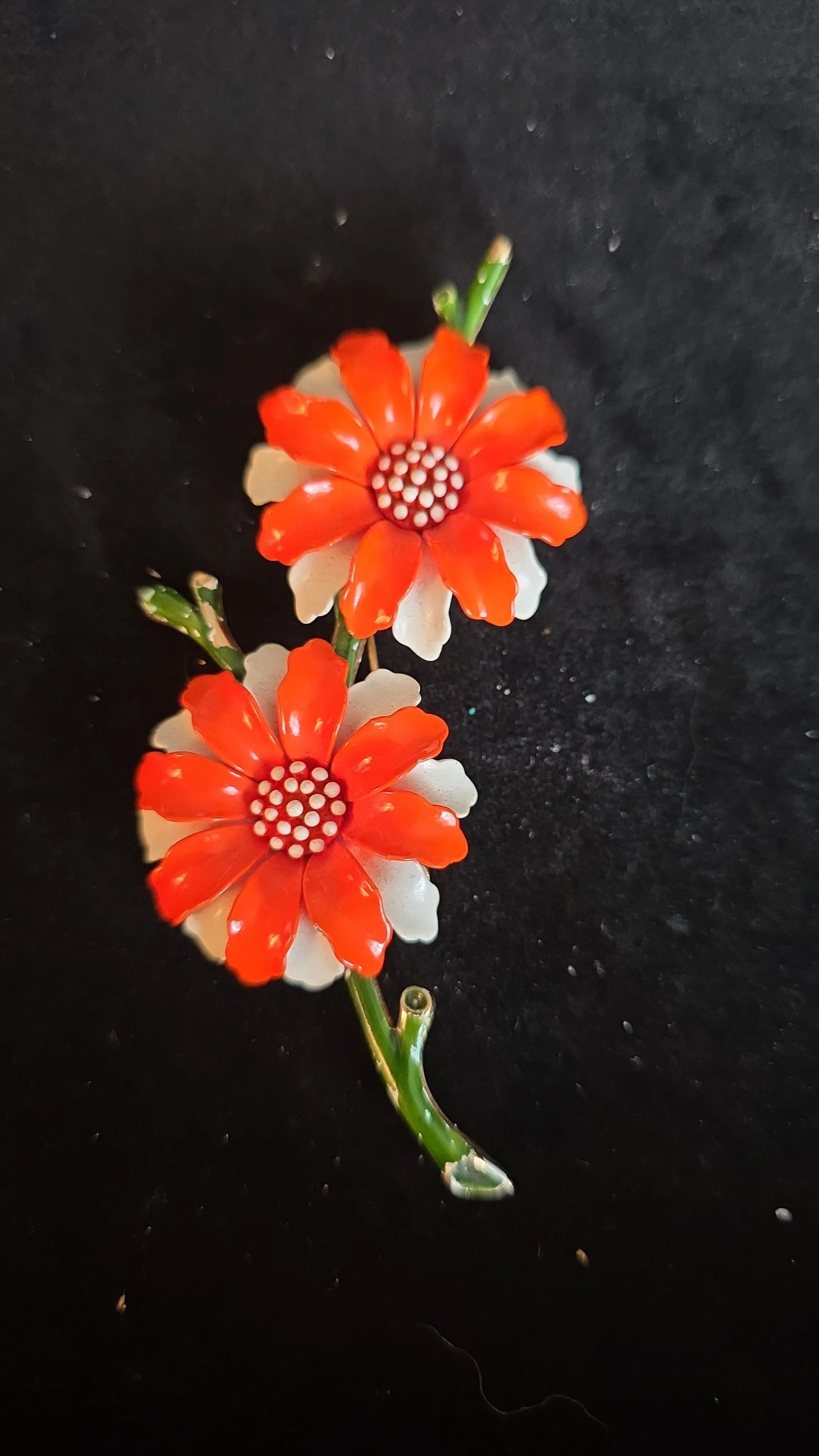 a6ce0fdf-edd5-4062-bfdc-55d1c242aa5b