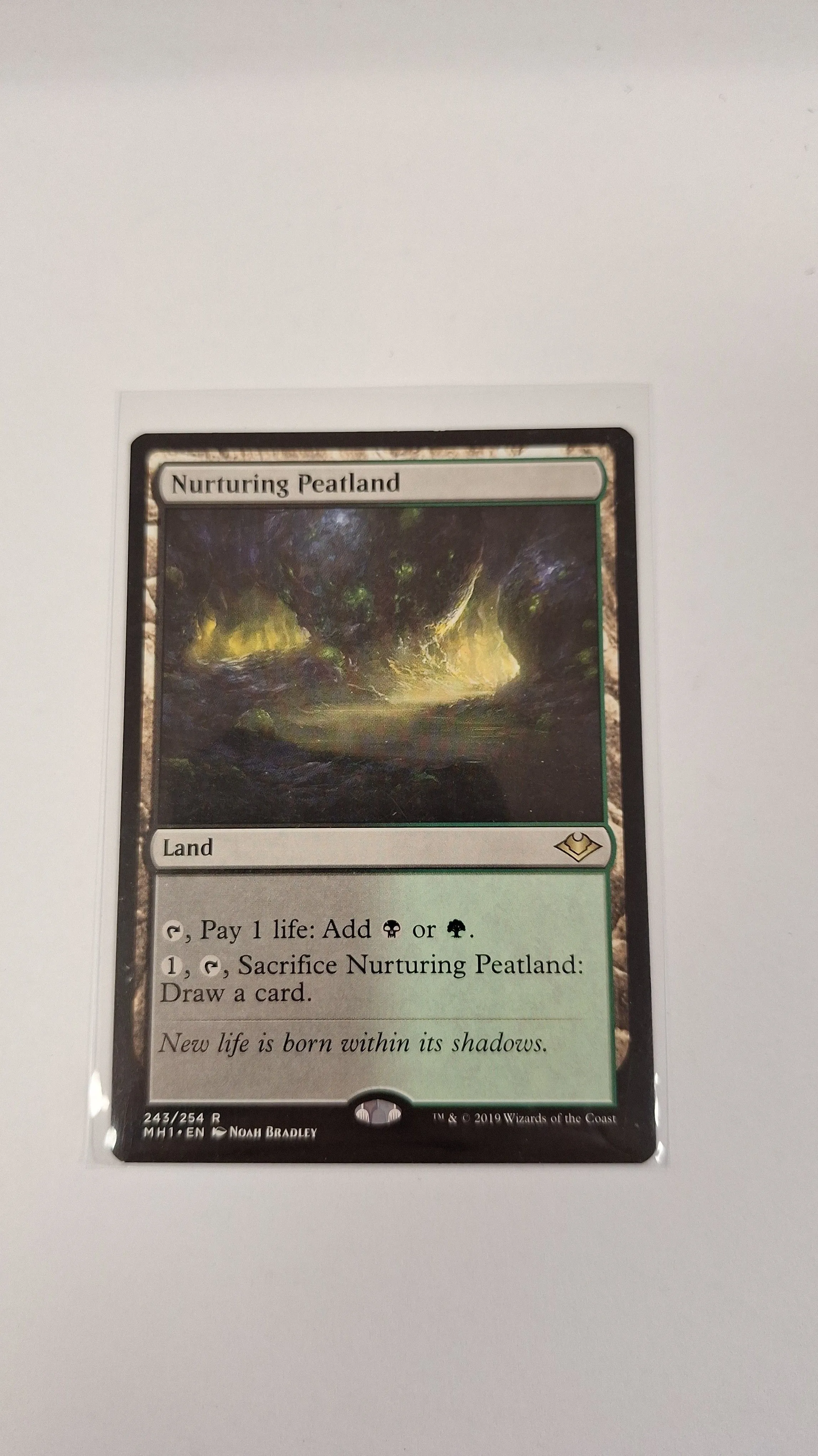 Product image for Nurturing Peatland