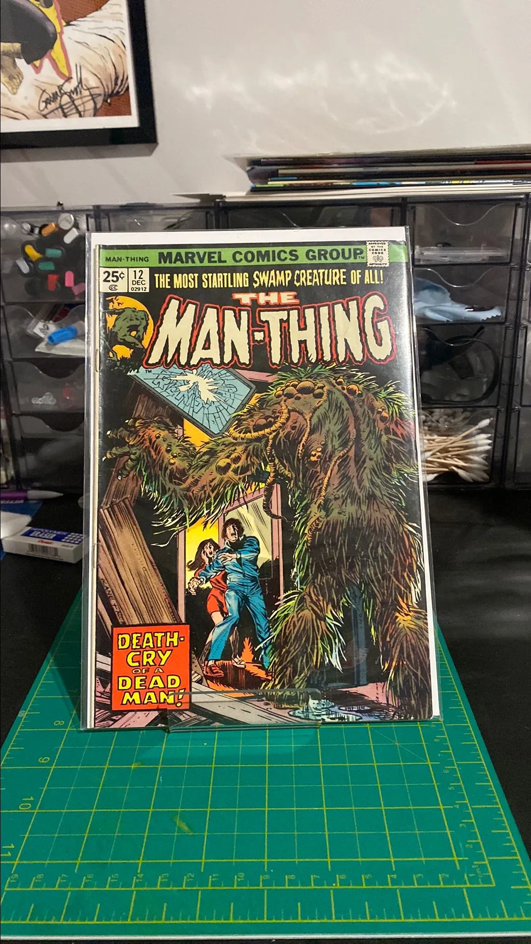 Product image for Man-Thing 12