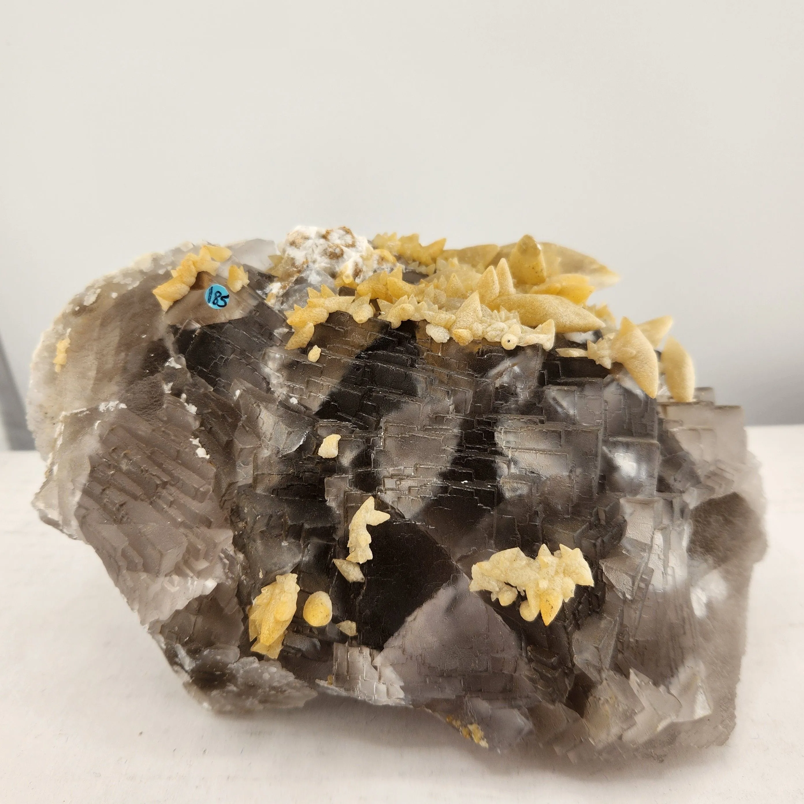 Product image for Dogtooth Calcite on Fluorite UV Reactive 5.4lbs
185+Ship 
8.5x5.4x2.8"
Location: Baluchistan, Pakist