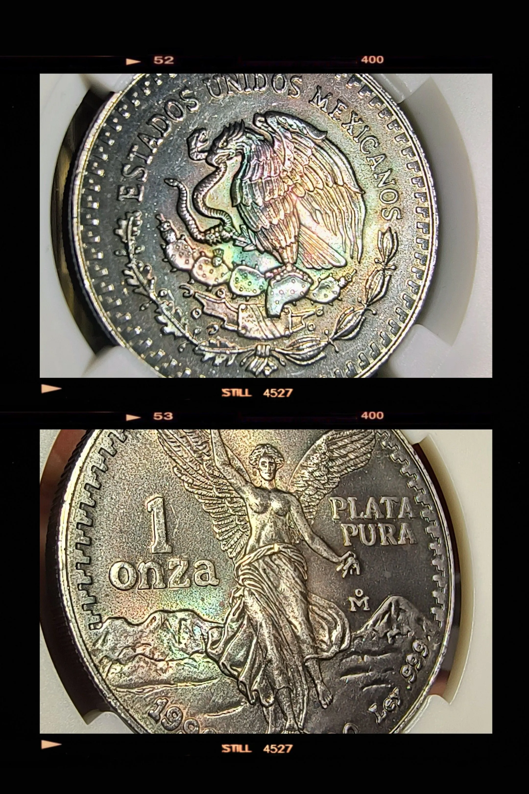 a7a01153-aa47-4e82-bf13-8784aa4f941c