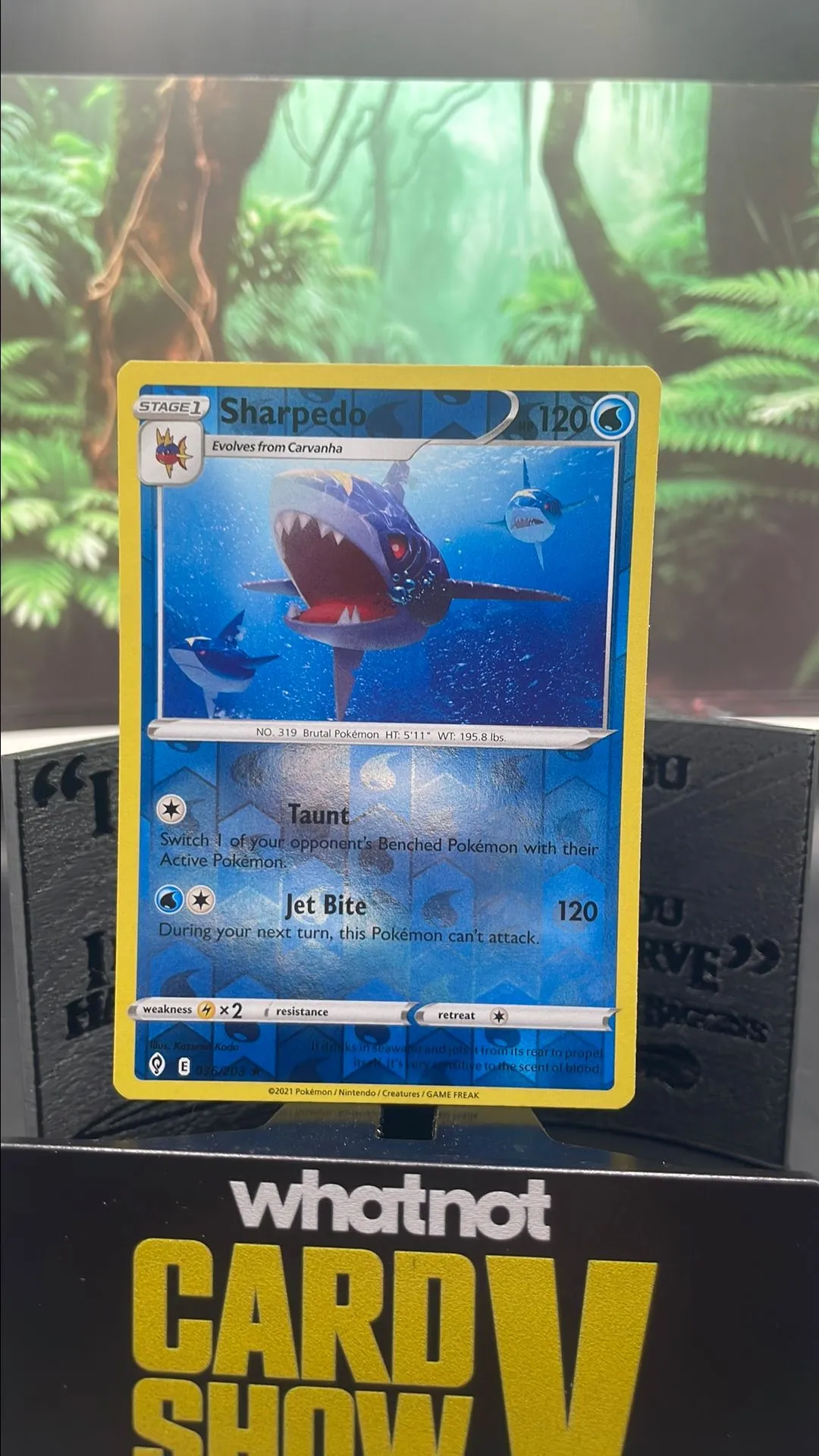 Product image for Sharpedo (Reverse)