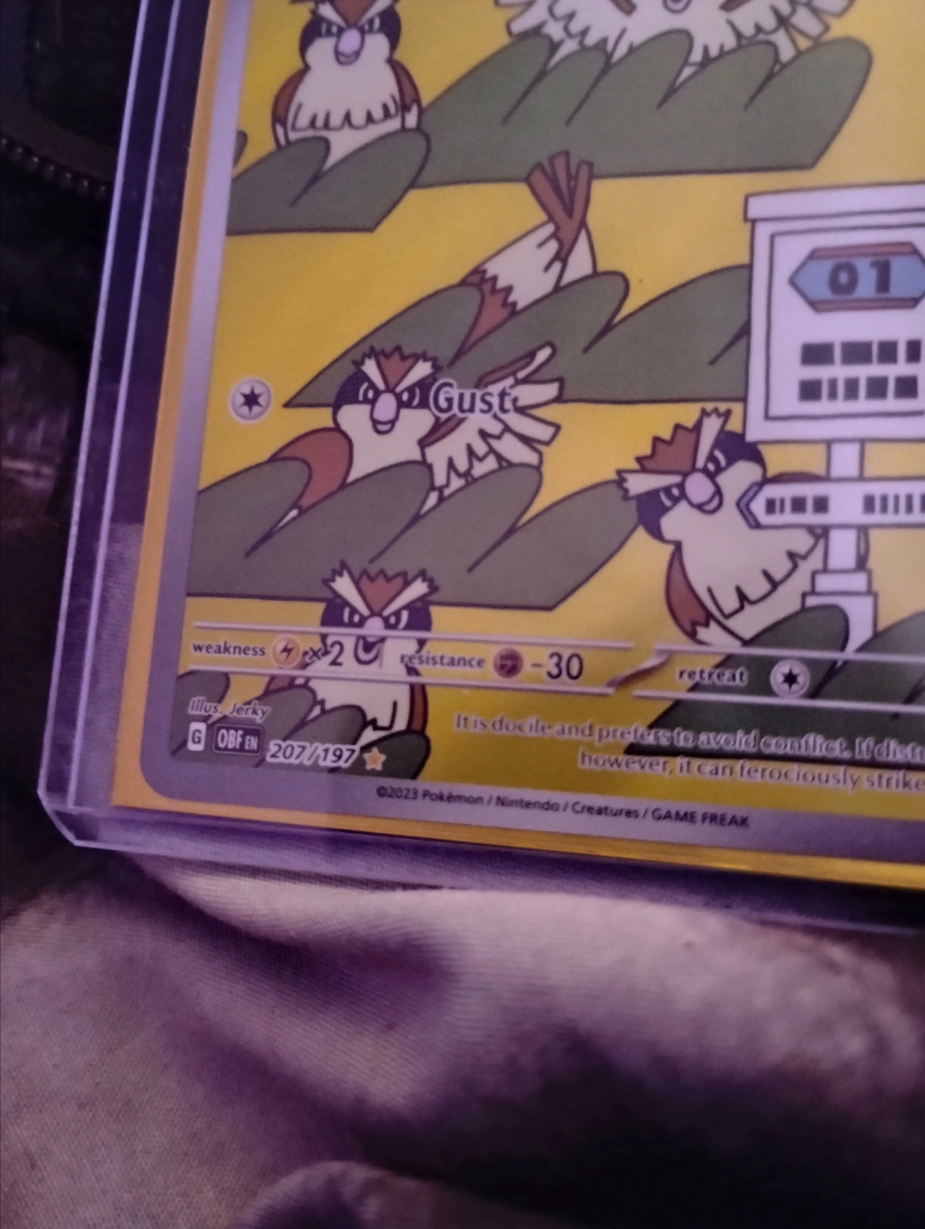 pidgey full art pokemon card Amazon.com: Pokemon - Pidgey 207/197 - Obsidian Flames - Illustration Rare main image 1