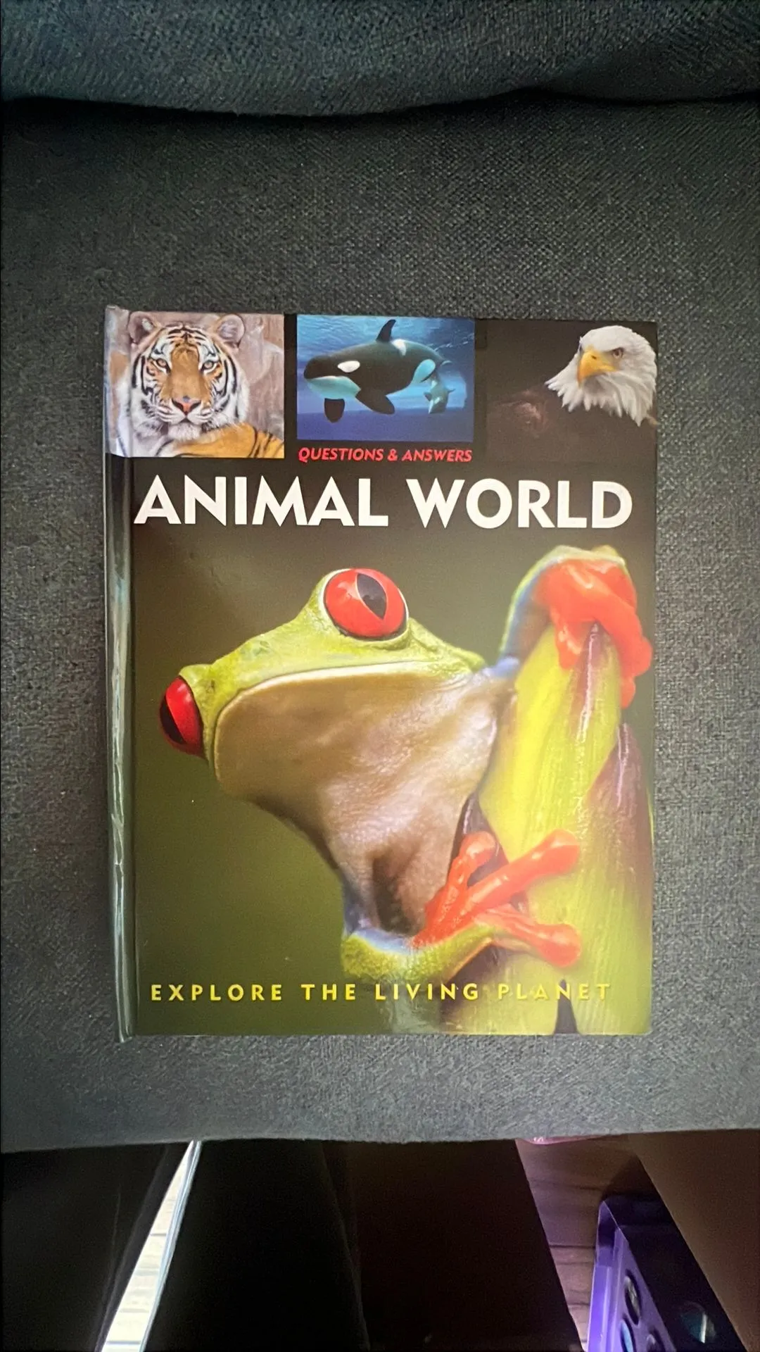 Product image for Animal World Kids Book Hardcover Former library Book