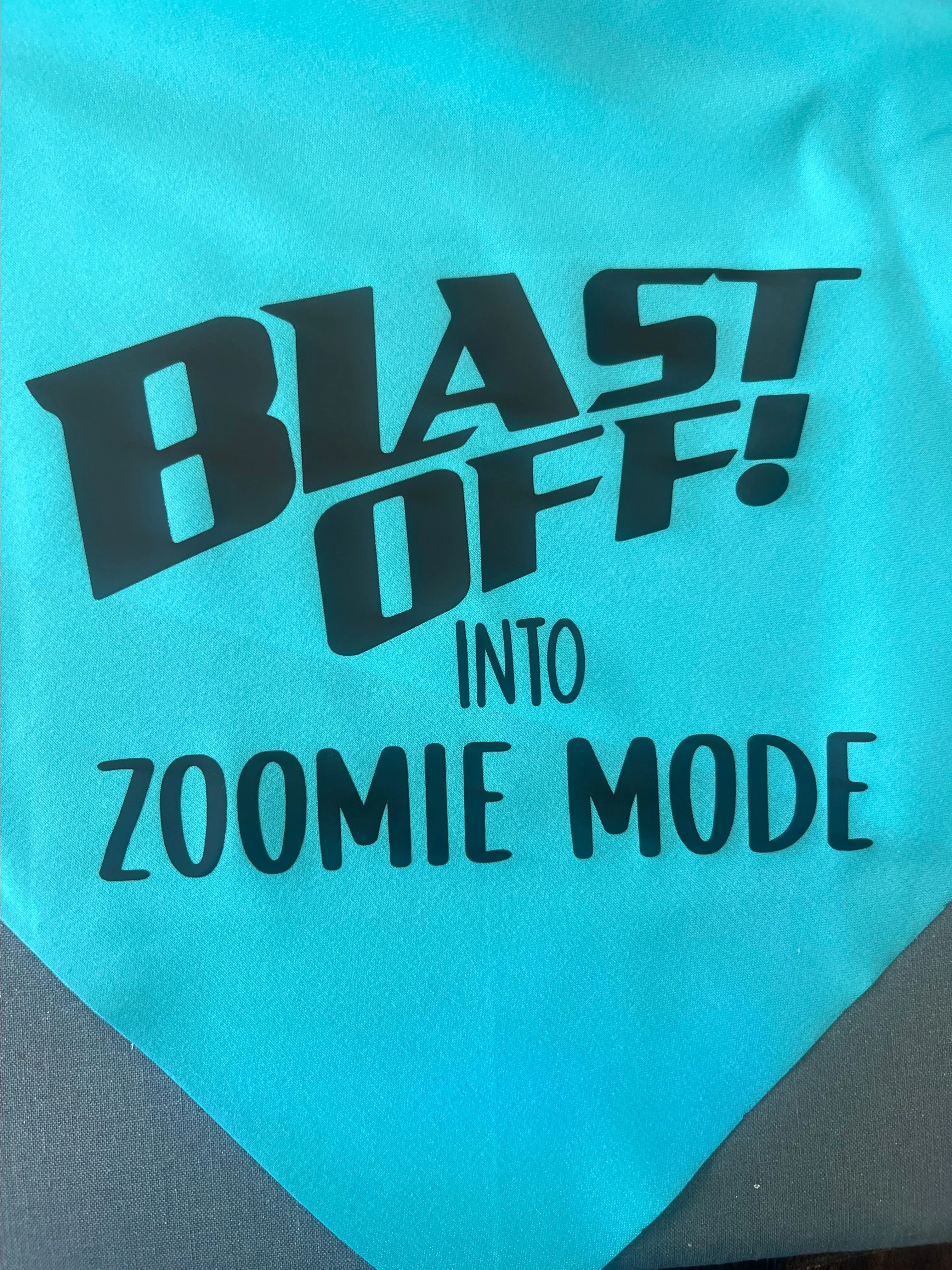 Product image for Blast Off-Into Zoomie Mode