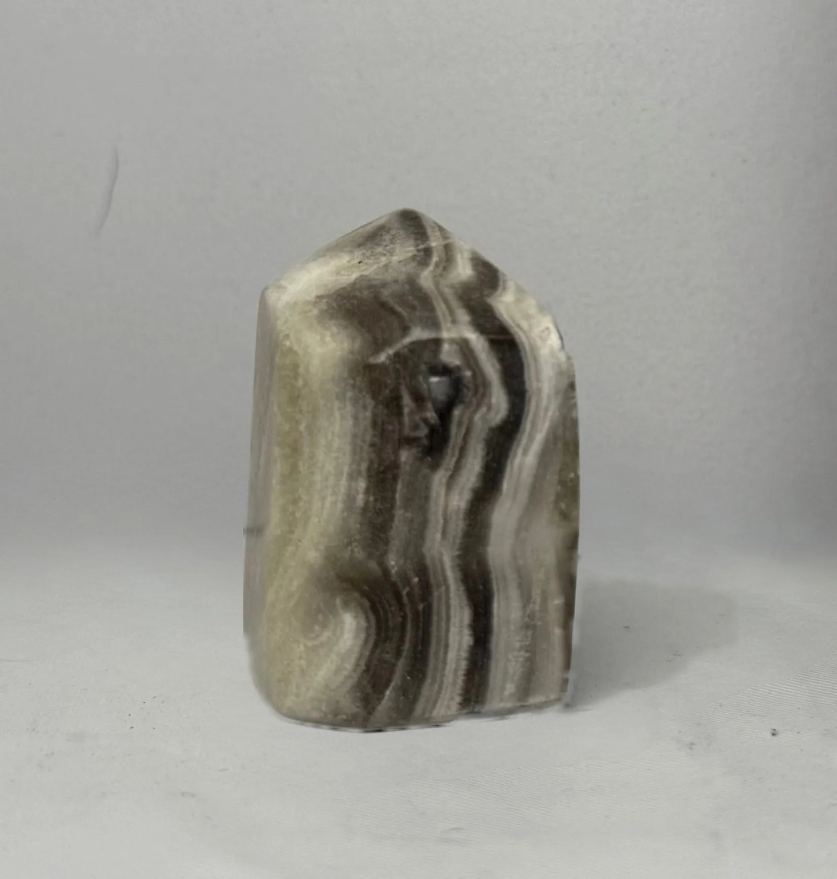 Product image for Zebra point
