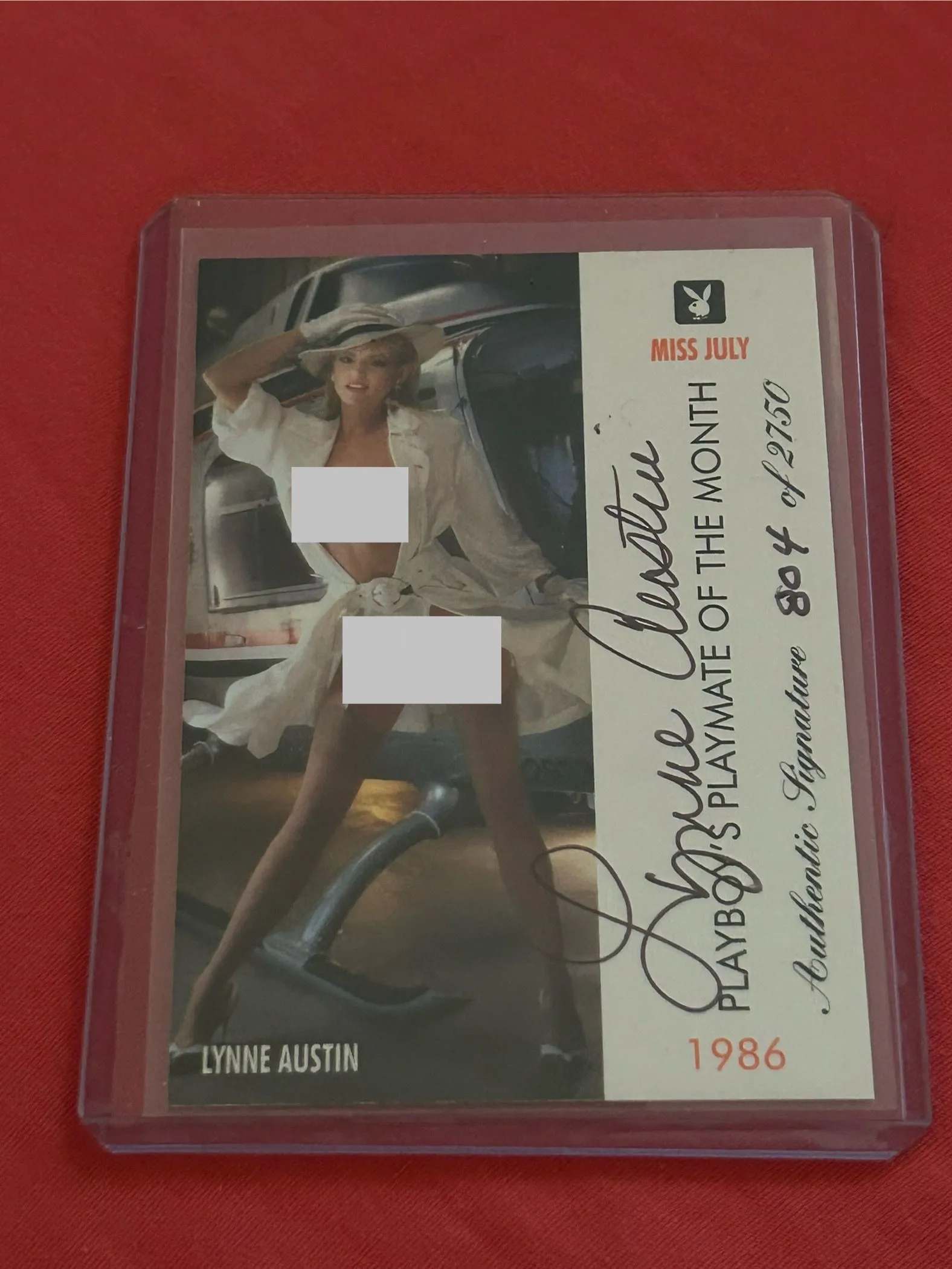 Product image for 0. $40 - Lynn Austin Signed Card