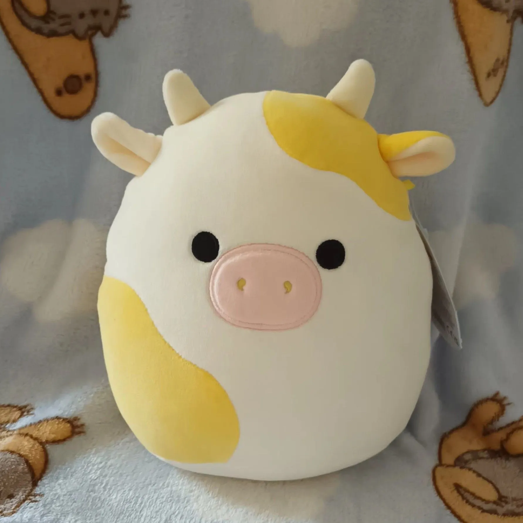 Product image for  Bodie yellow spots moo moo 7.5/8" Squishmallows 