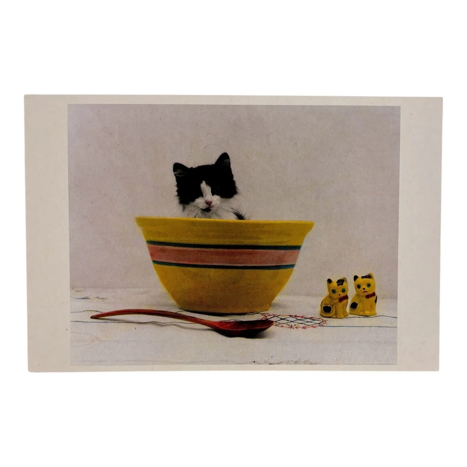 Product image for Darling Kitty in a Yelloware Bowl * 1997 American Postcard Co. * Printed Italy